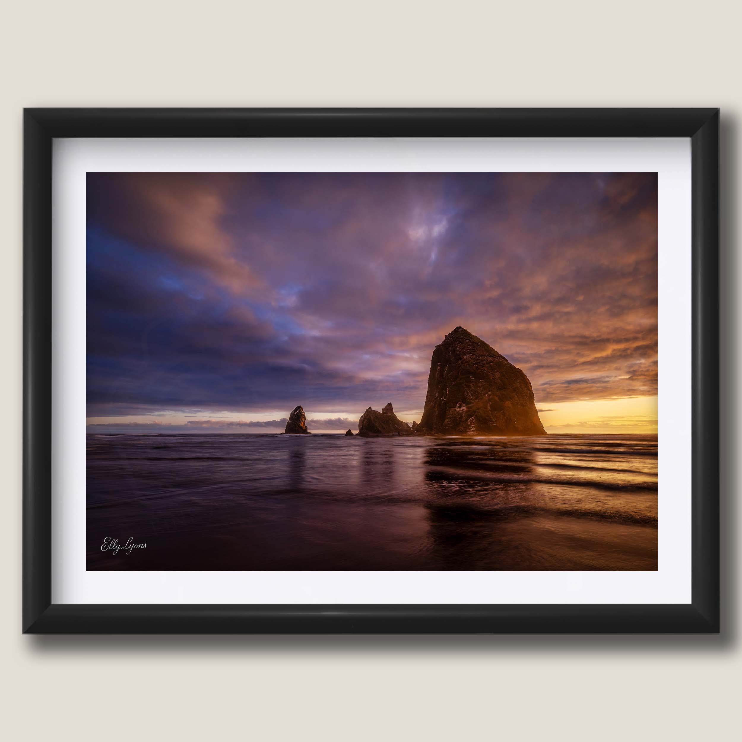 Haystack Rock "Refuge in the Chaos"