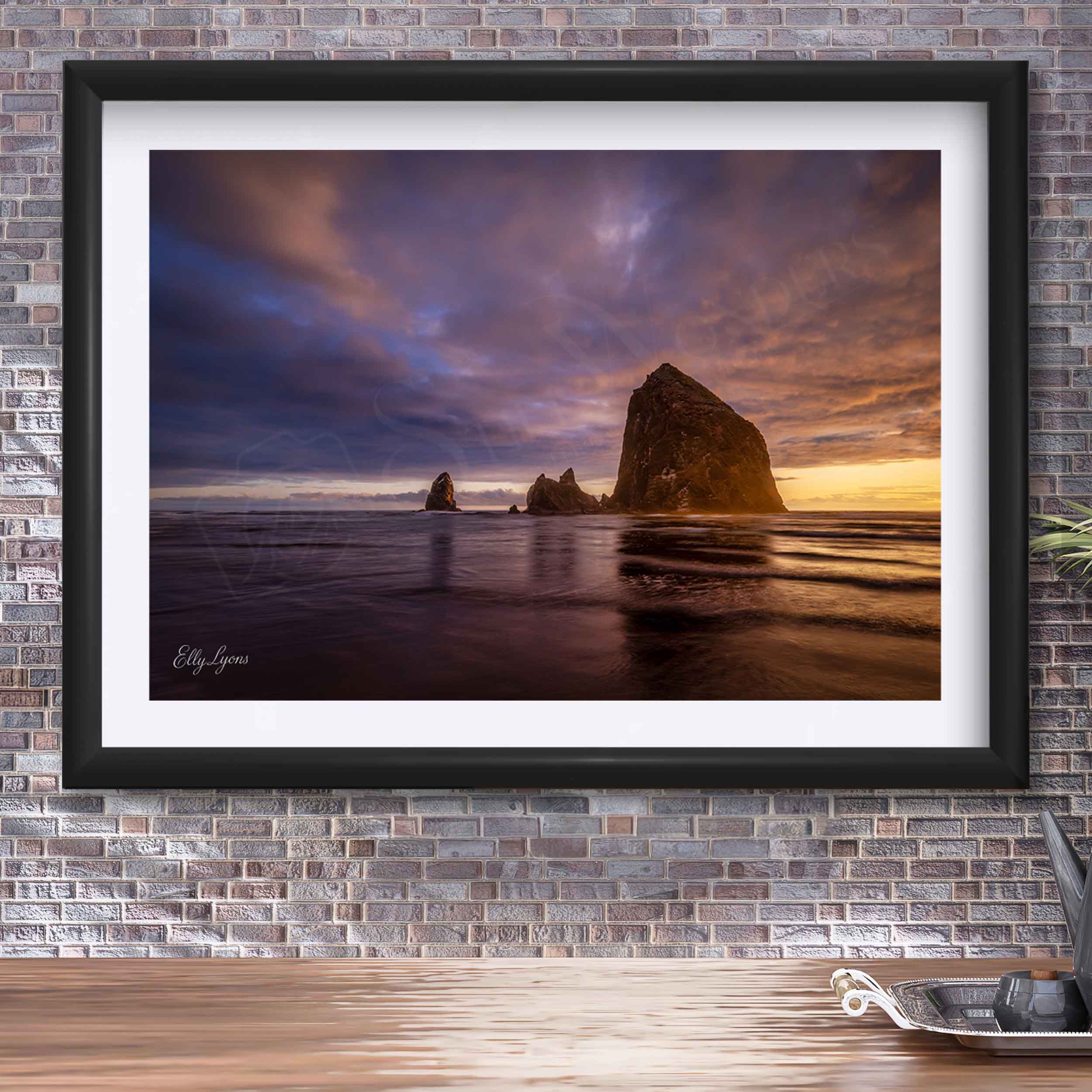 Haystack Rock "Refuge in the Chaos"
