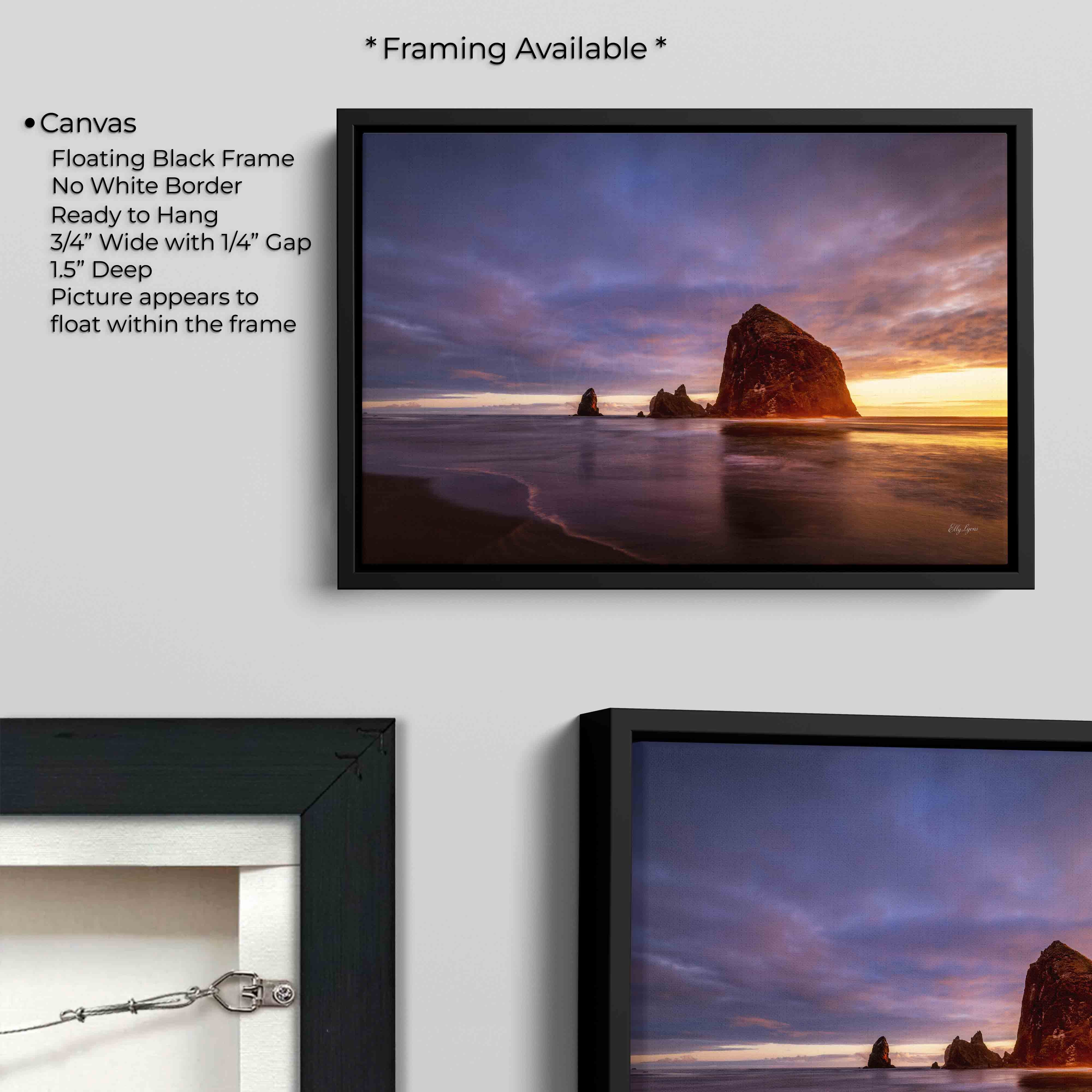 Haystack Rock "Where Light Meets Stone"