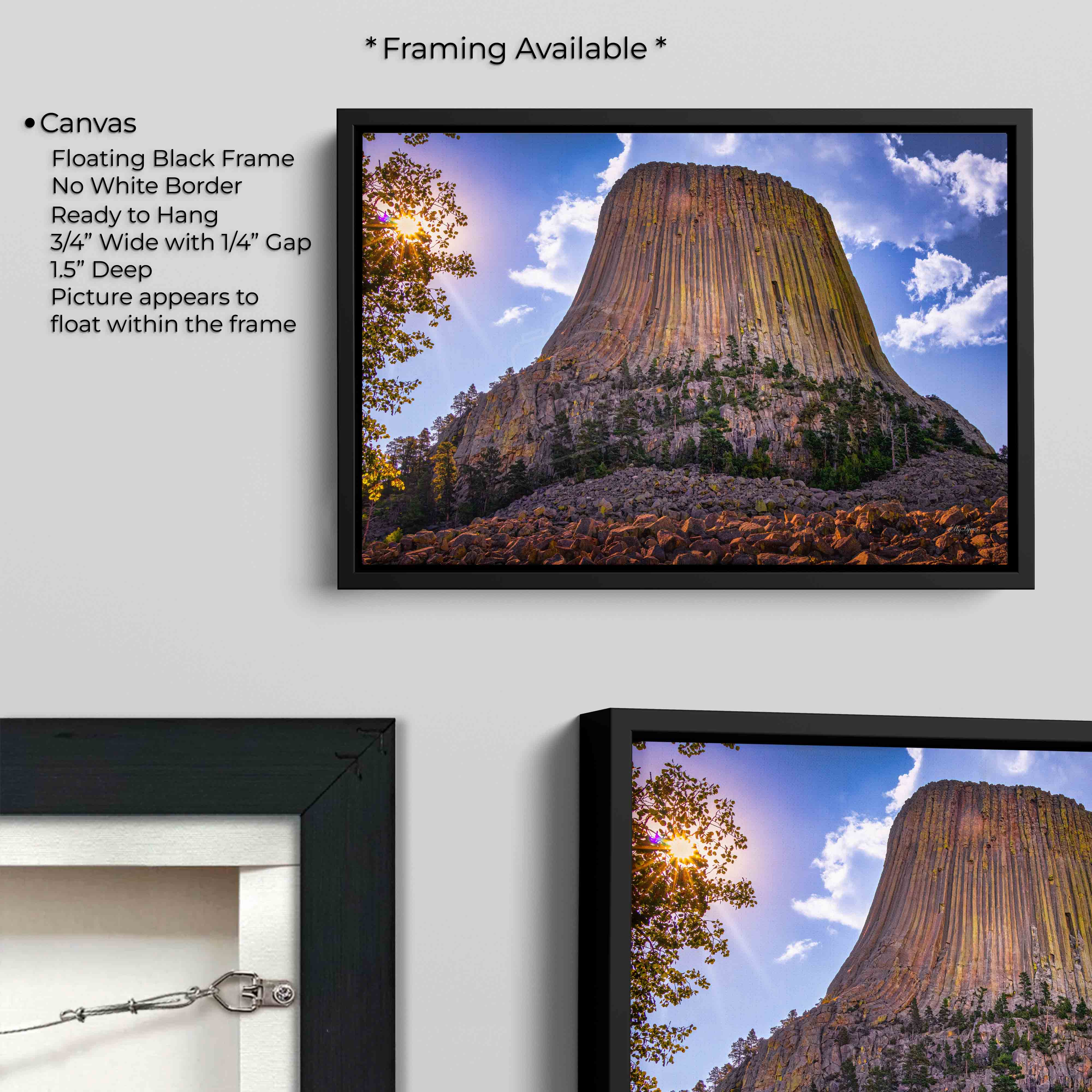 Devil’s Tower “Nature’s Monument”