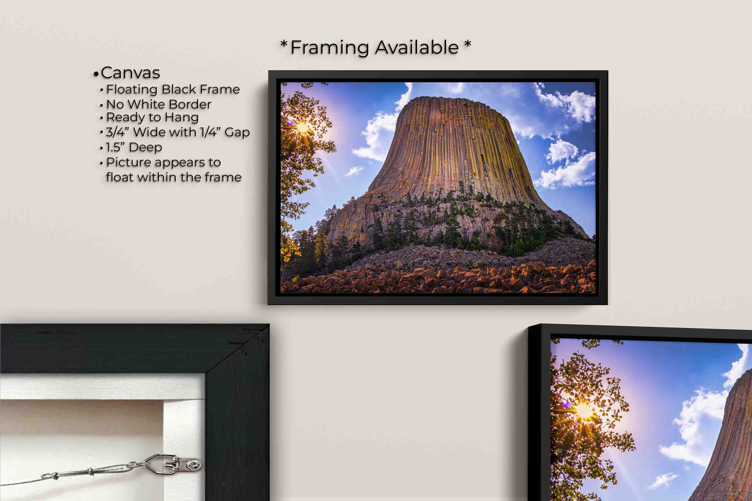 Devil’s Tower “Nature’s Monument”