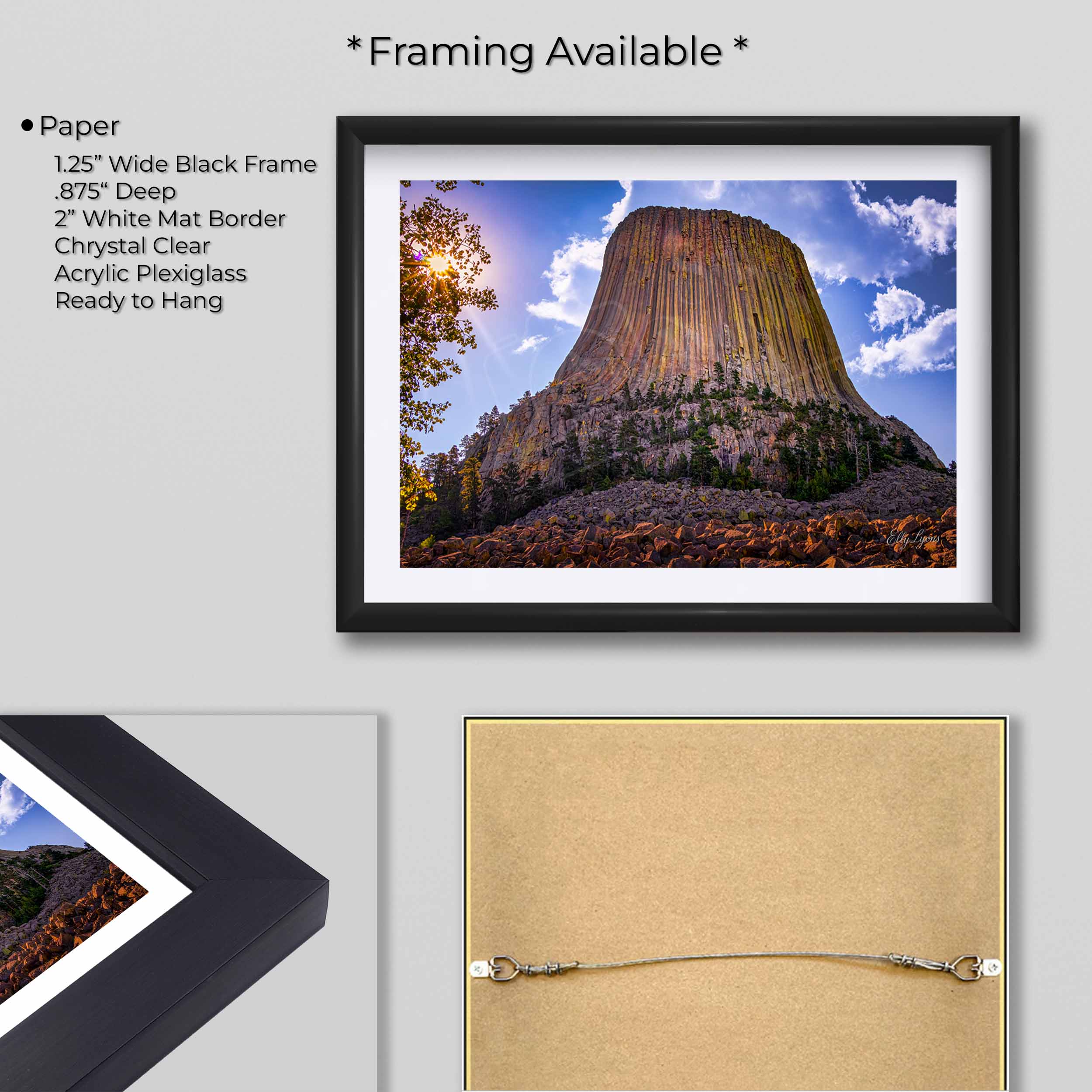 Devil’s Tower “Nature’s Monument”