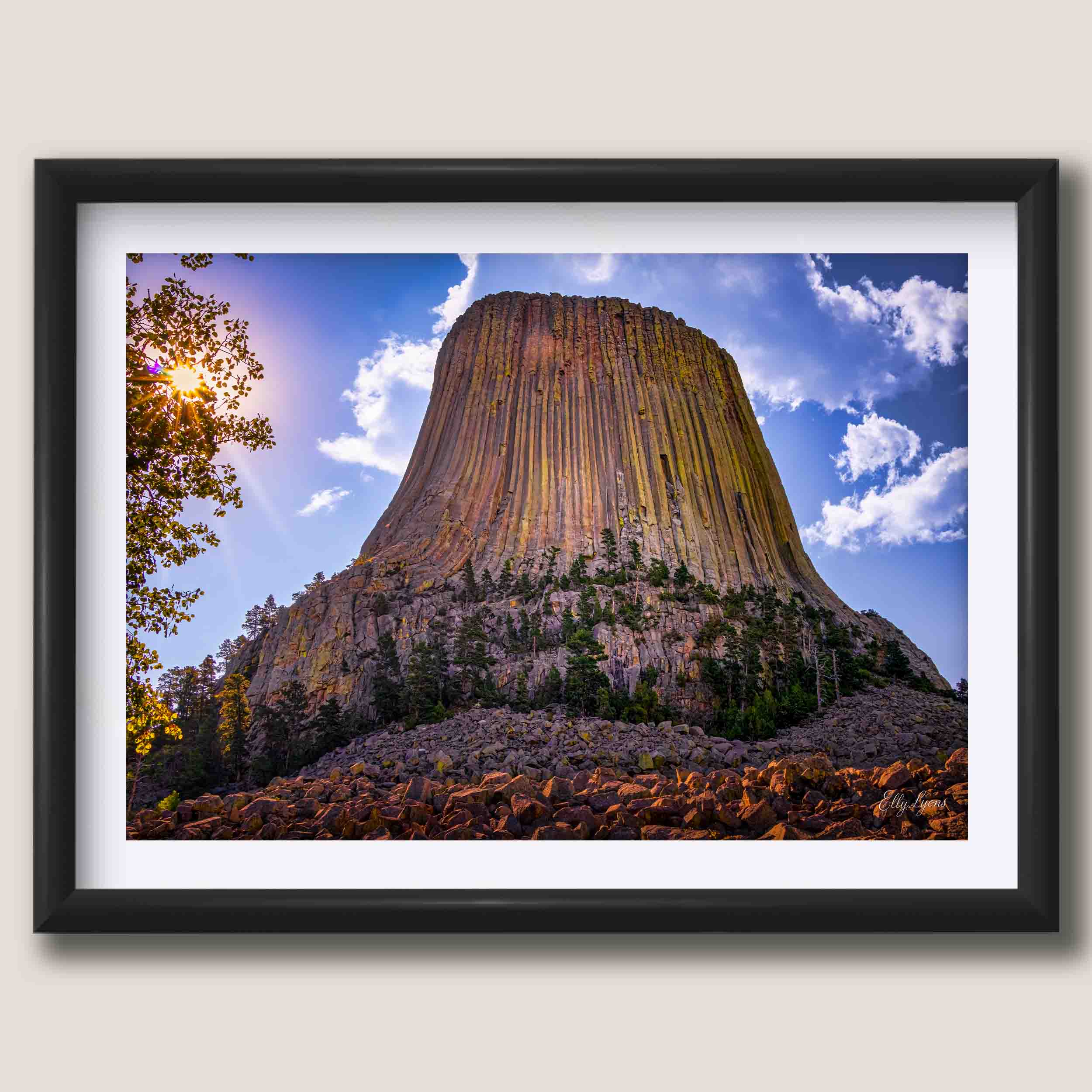 Devil’s Tower “Nature’s Monument”