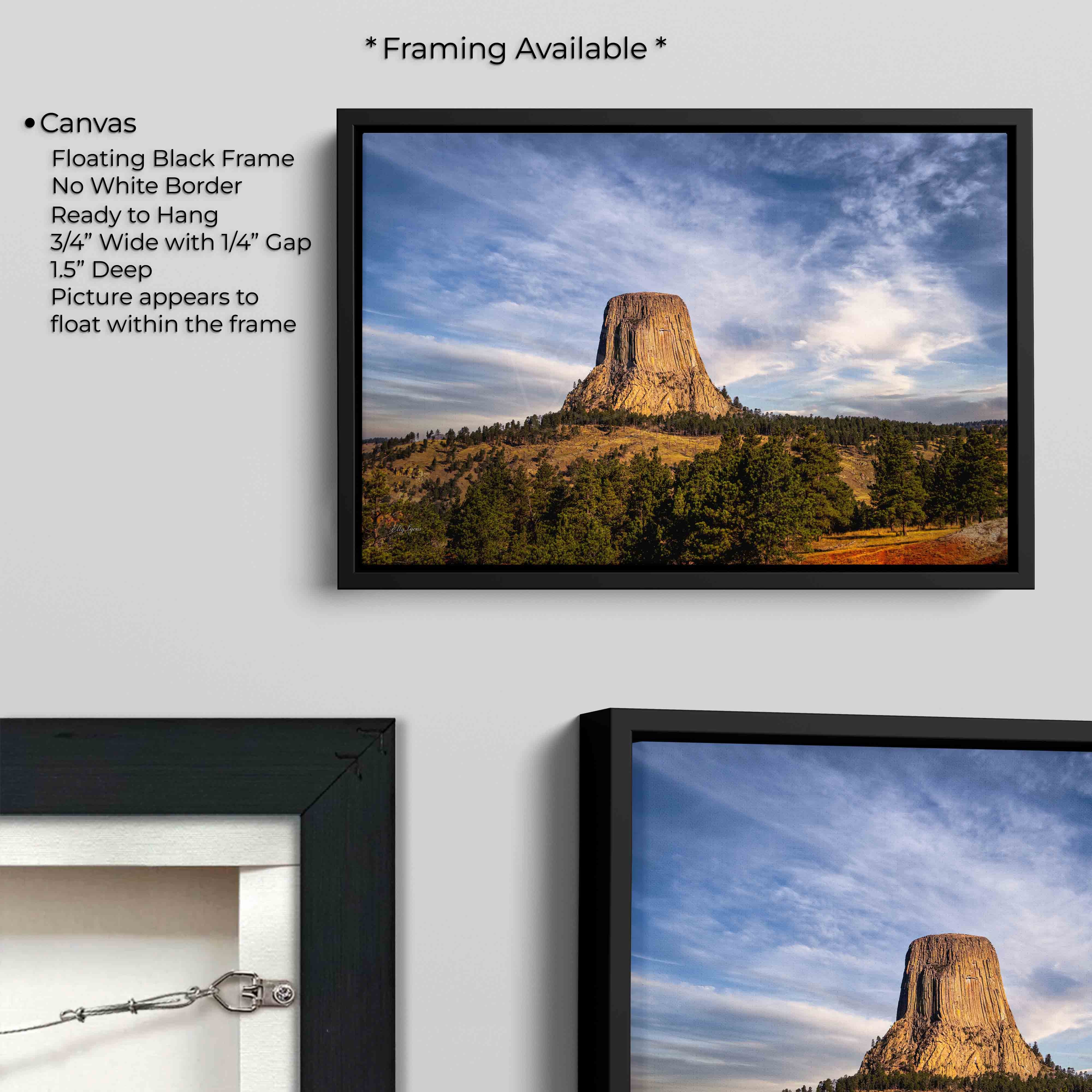 Devils Tower “Standing Tall”