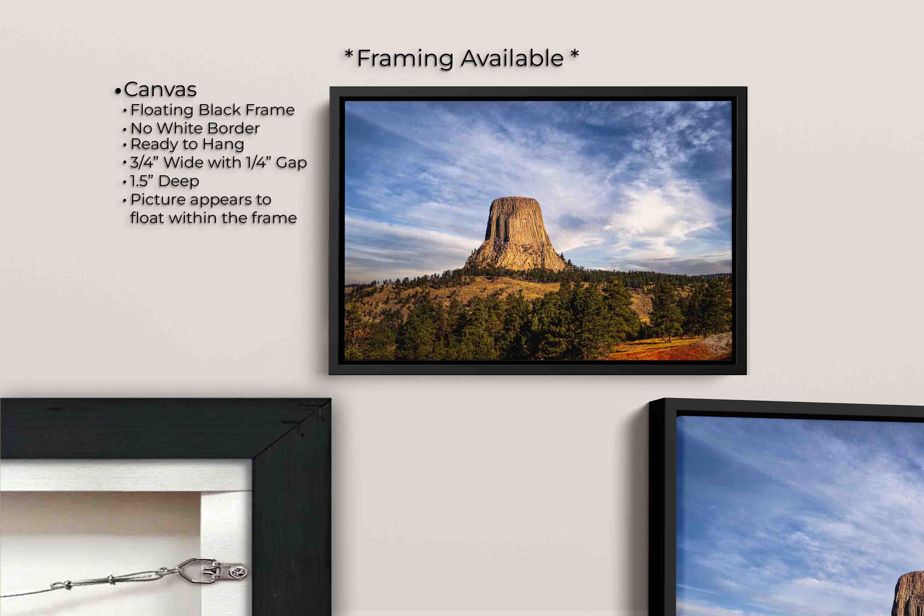 Devil’s Tower Wyoming sunset fine art print canvas wall art in black float frame, canvas framing option details
