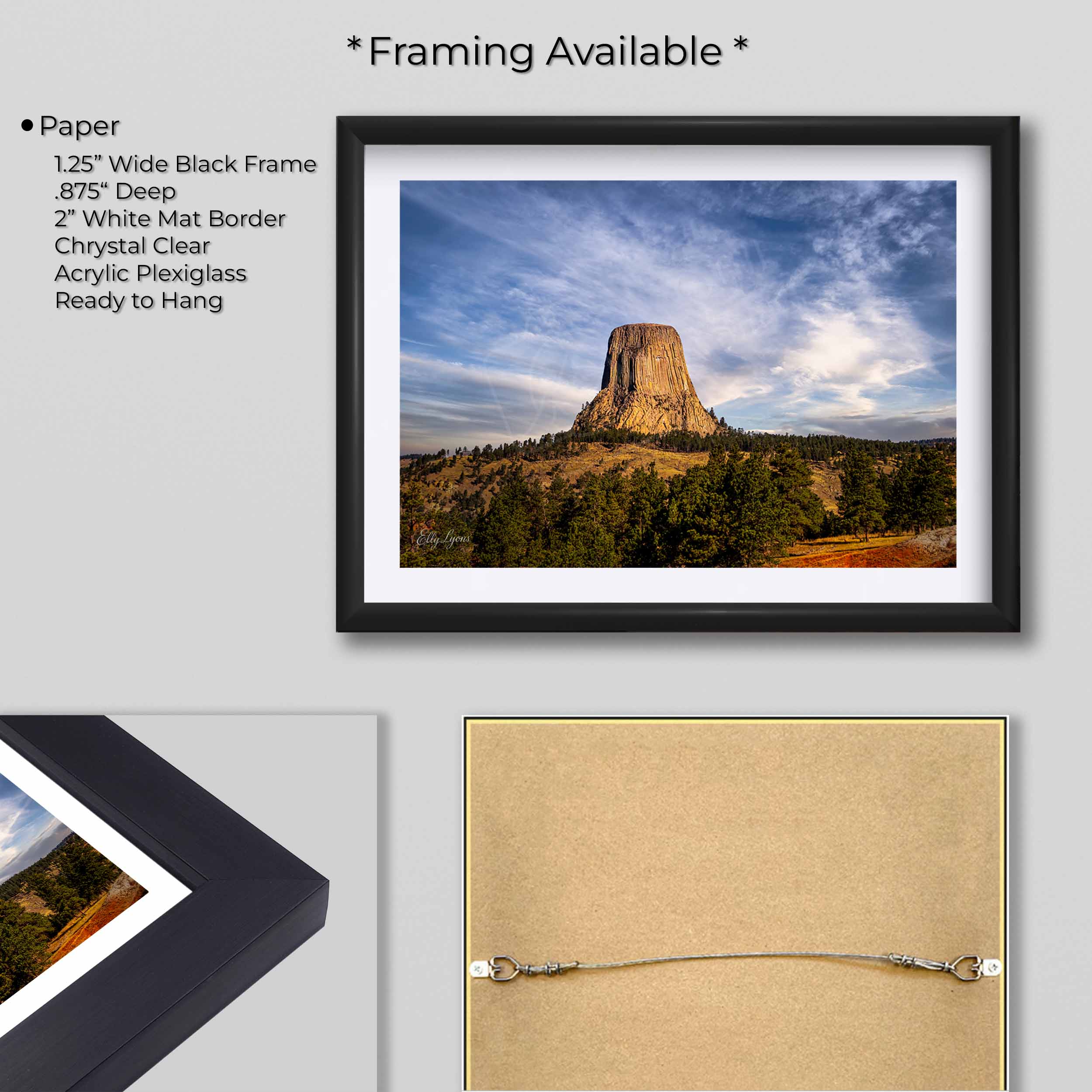 Devils Tower “Standing Tall”