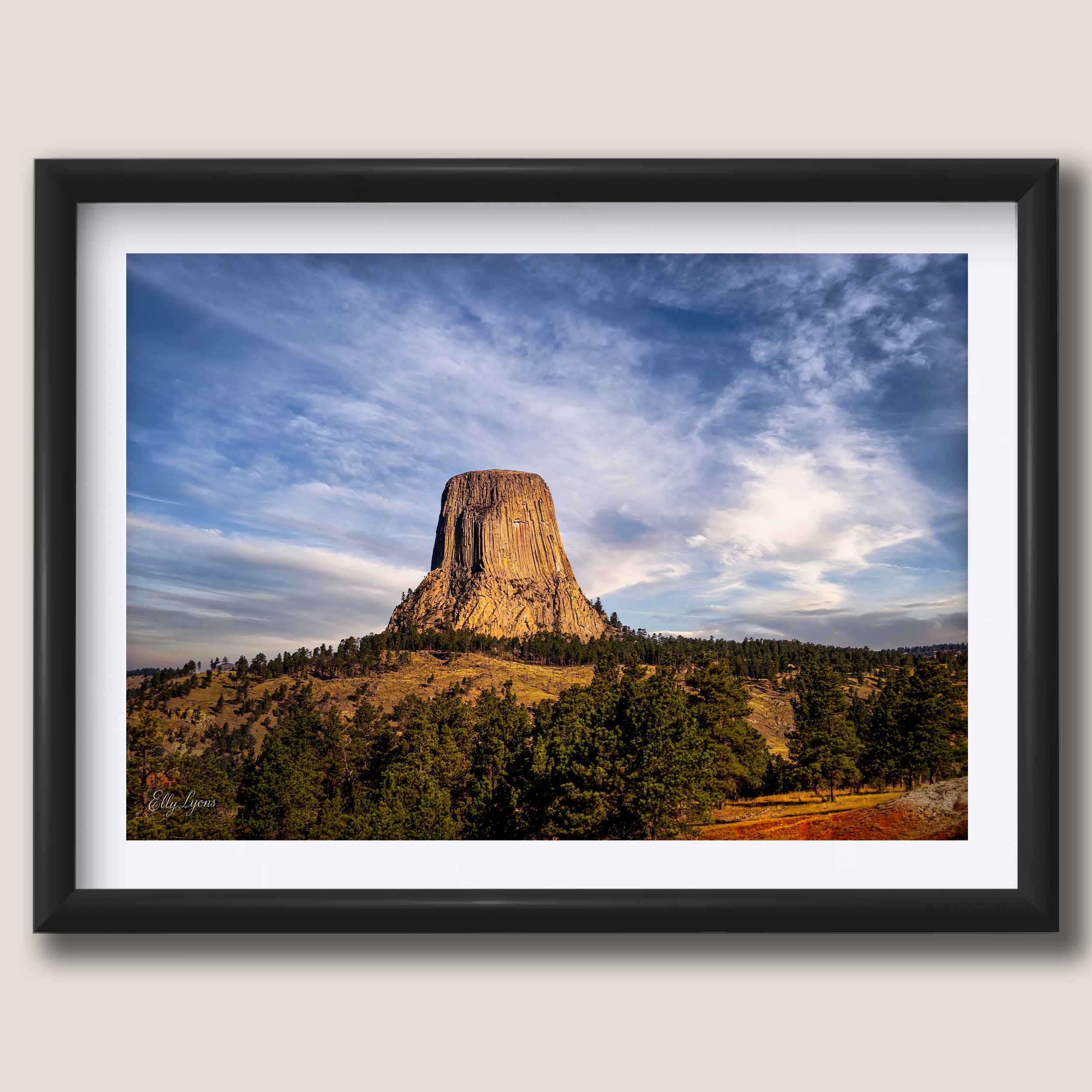 Devils Tower “Standing Tall”