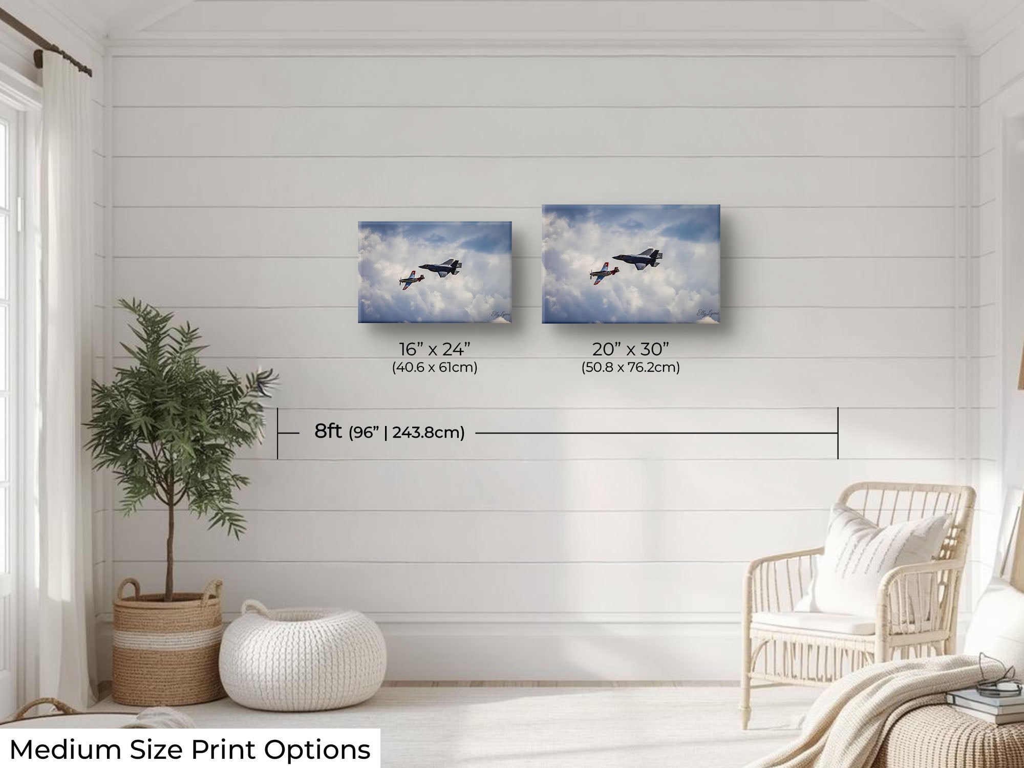 Heritage Flight “Legacy in Flight”
