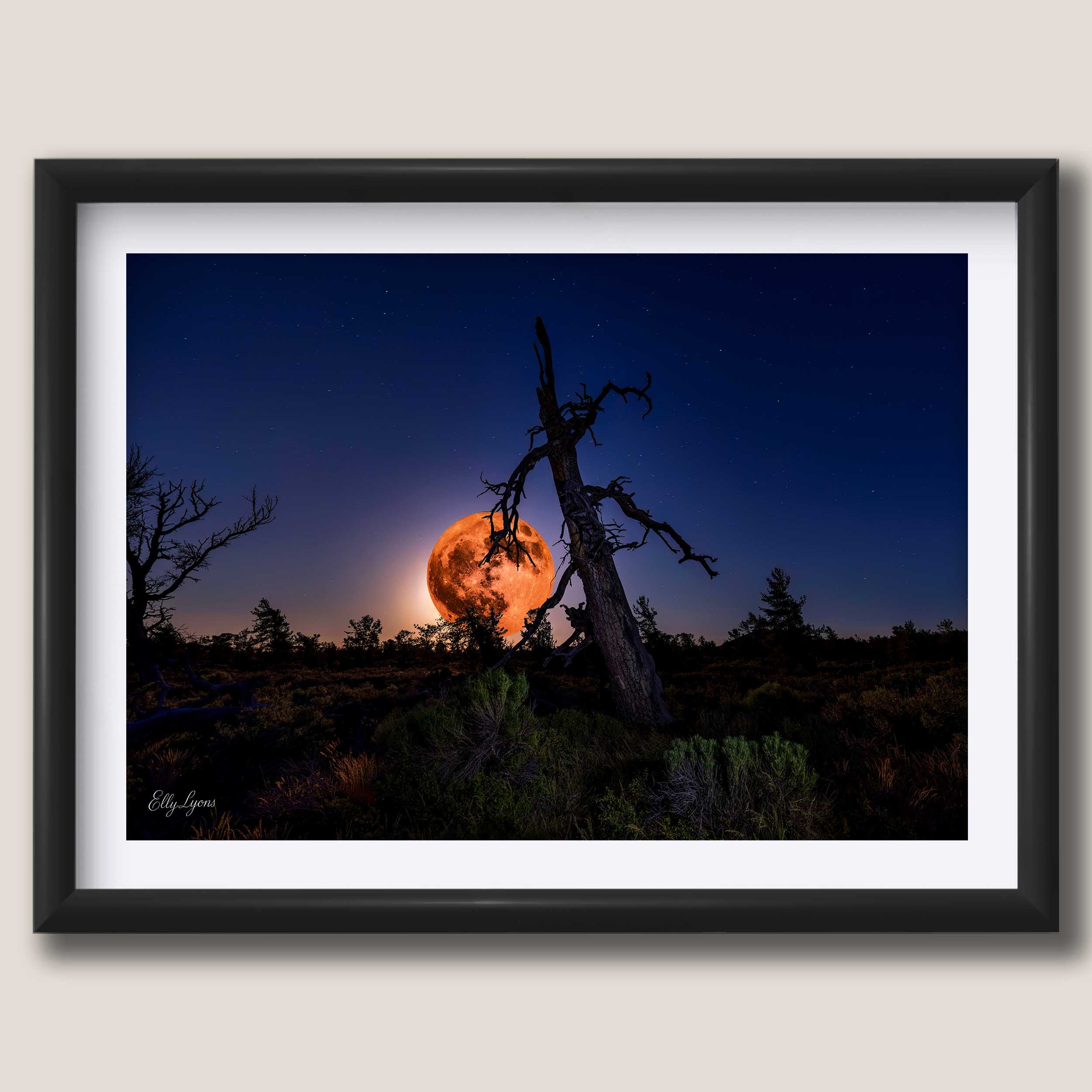 Strawberry Moon "The Light Behind the Ruins"