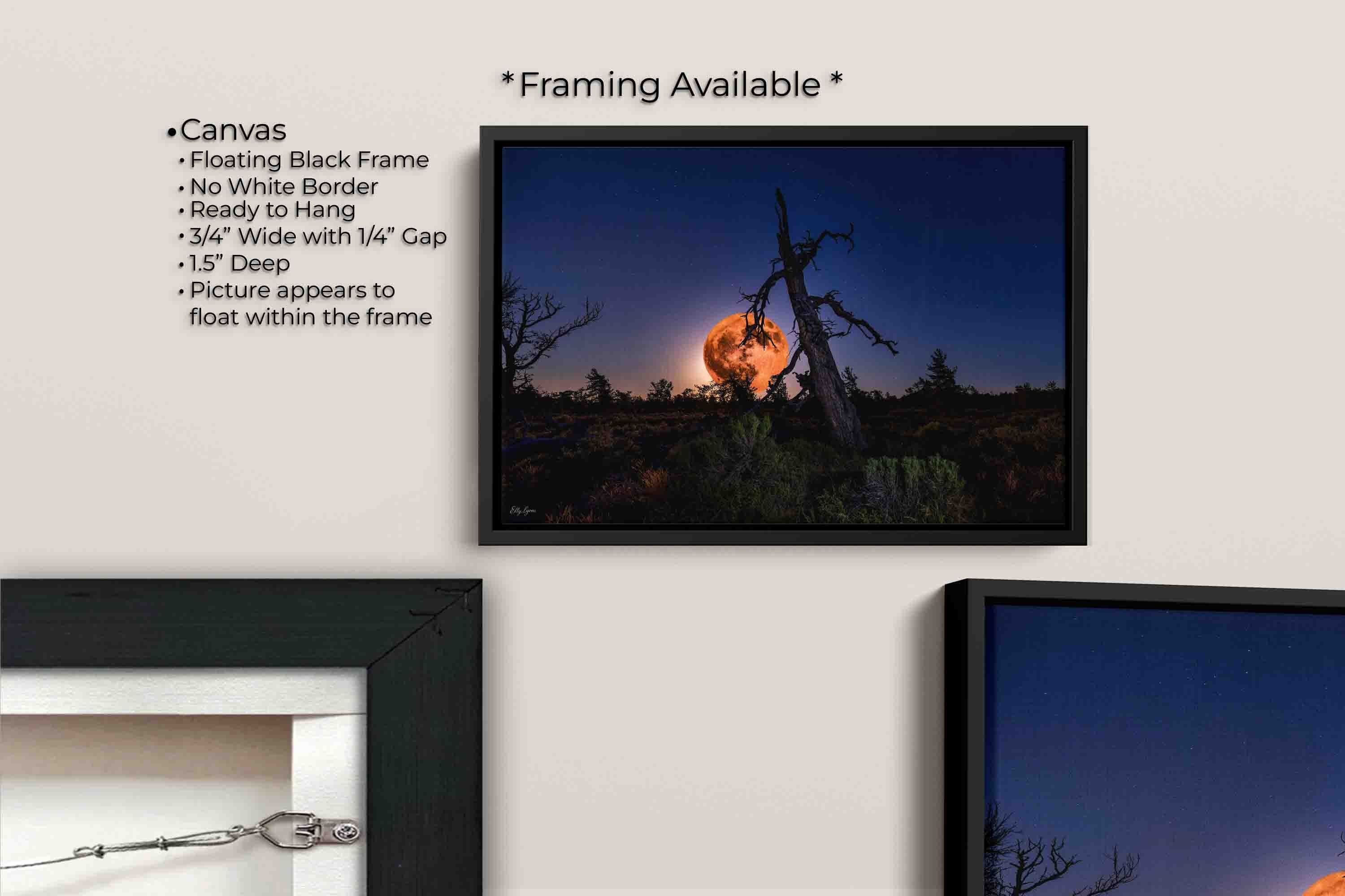 Strawberry full moon fine art print canvas wall art in black float frame, canvas framing option details
