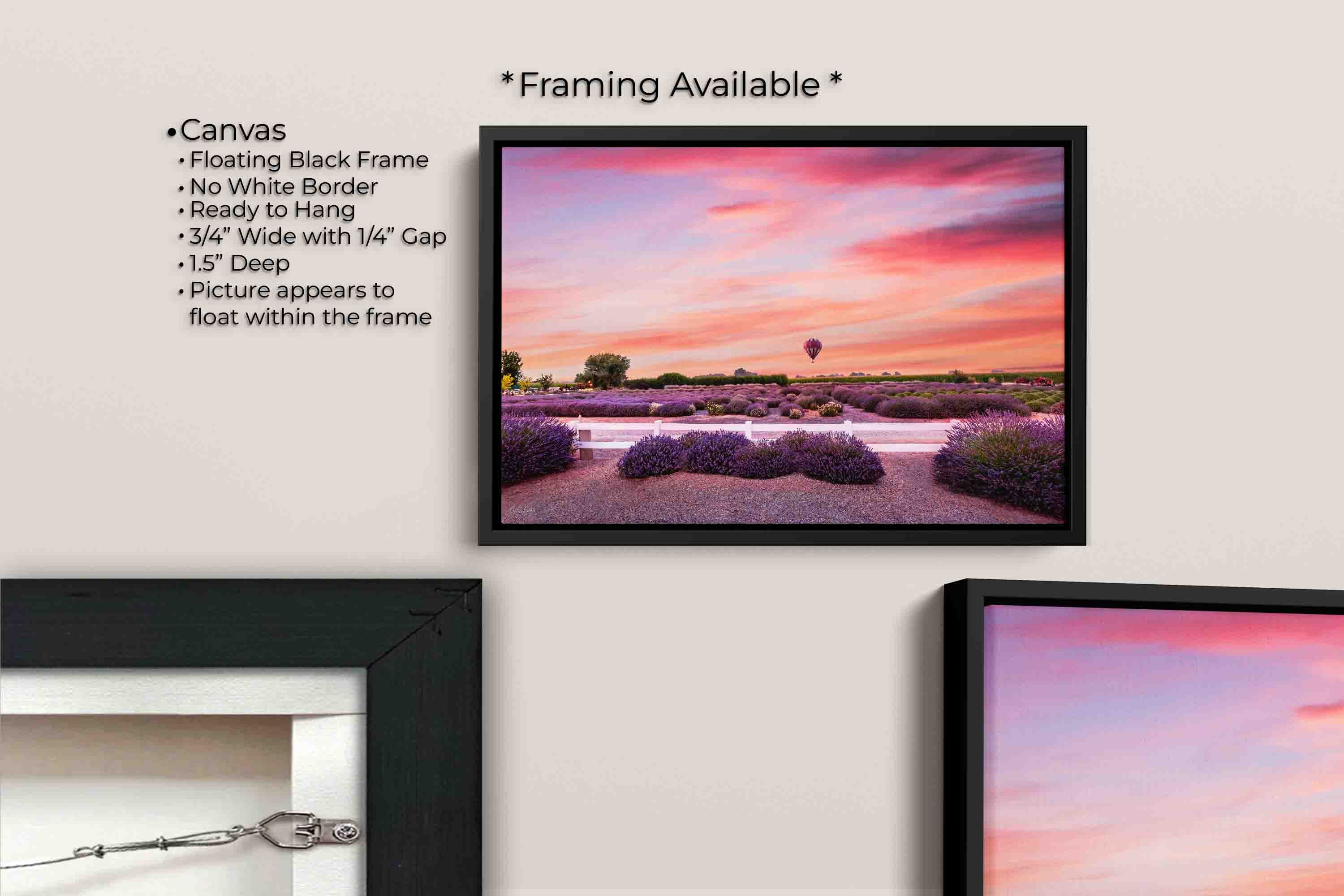 A hot air balloon over a lavender field during sunset fine art print canvas wall art in black float frame, canvas framing option details