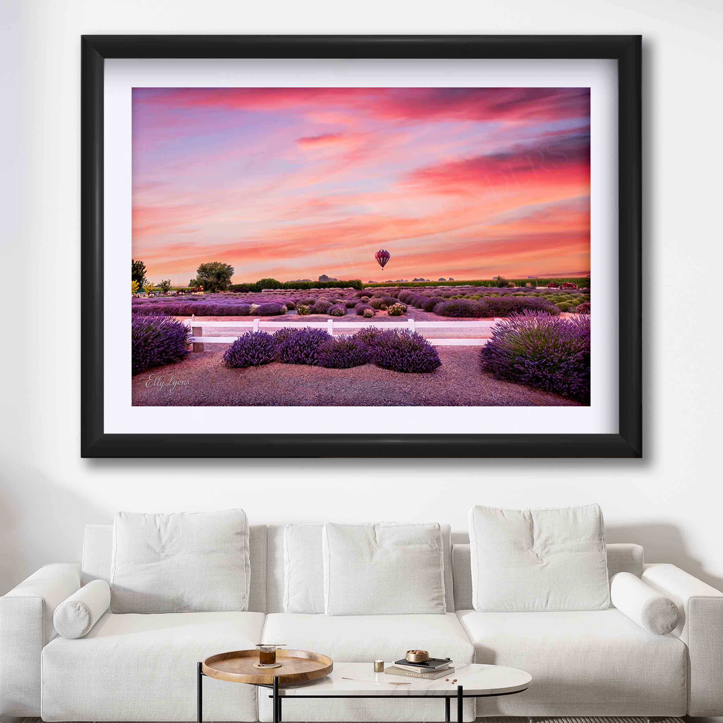 Hot Air Balloon Over Lavender Fields “The Stillness of Joy”