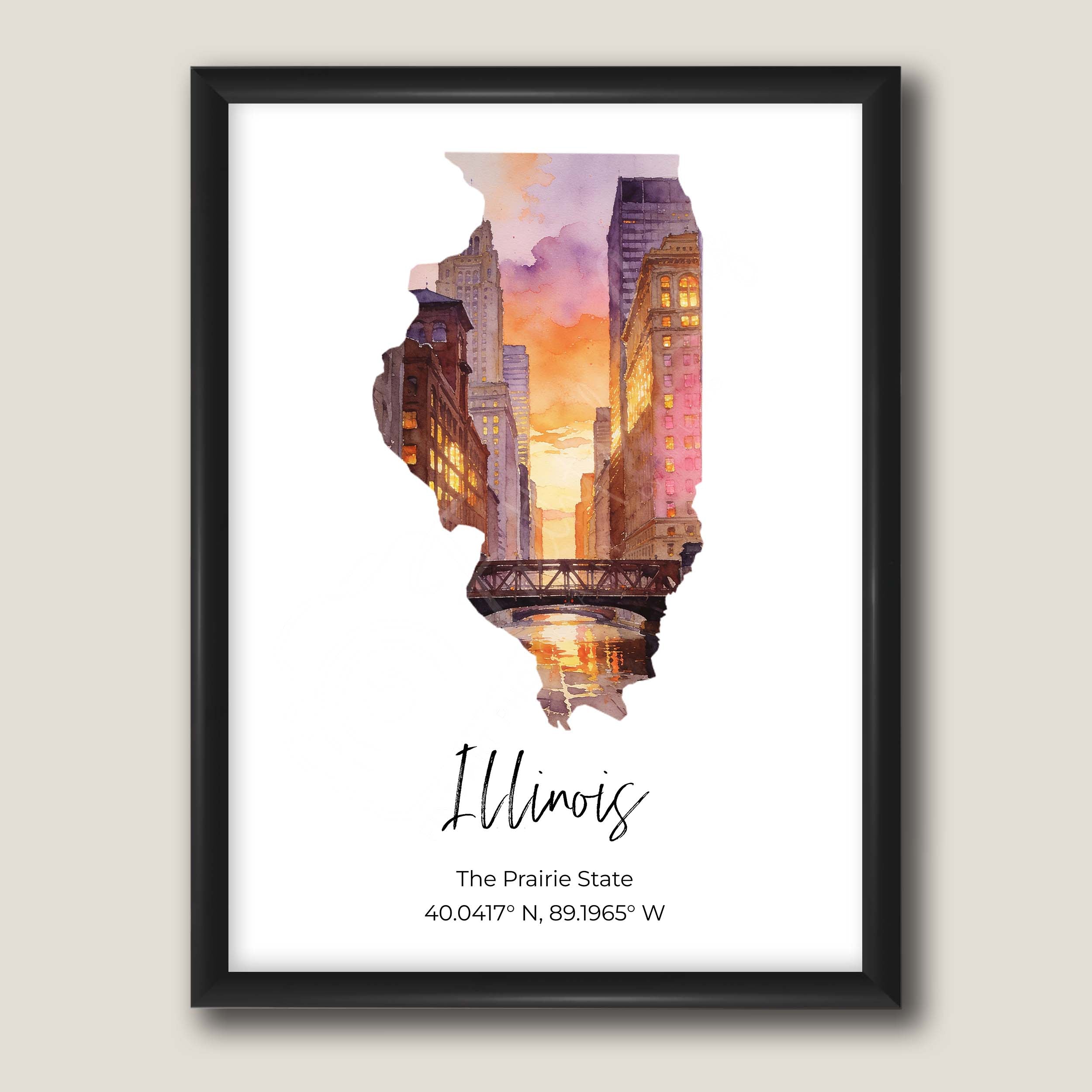 Illinois State Map