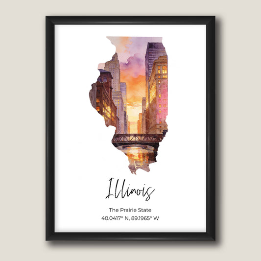 Illinois State Map
