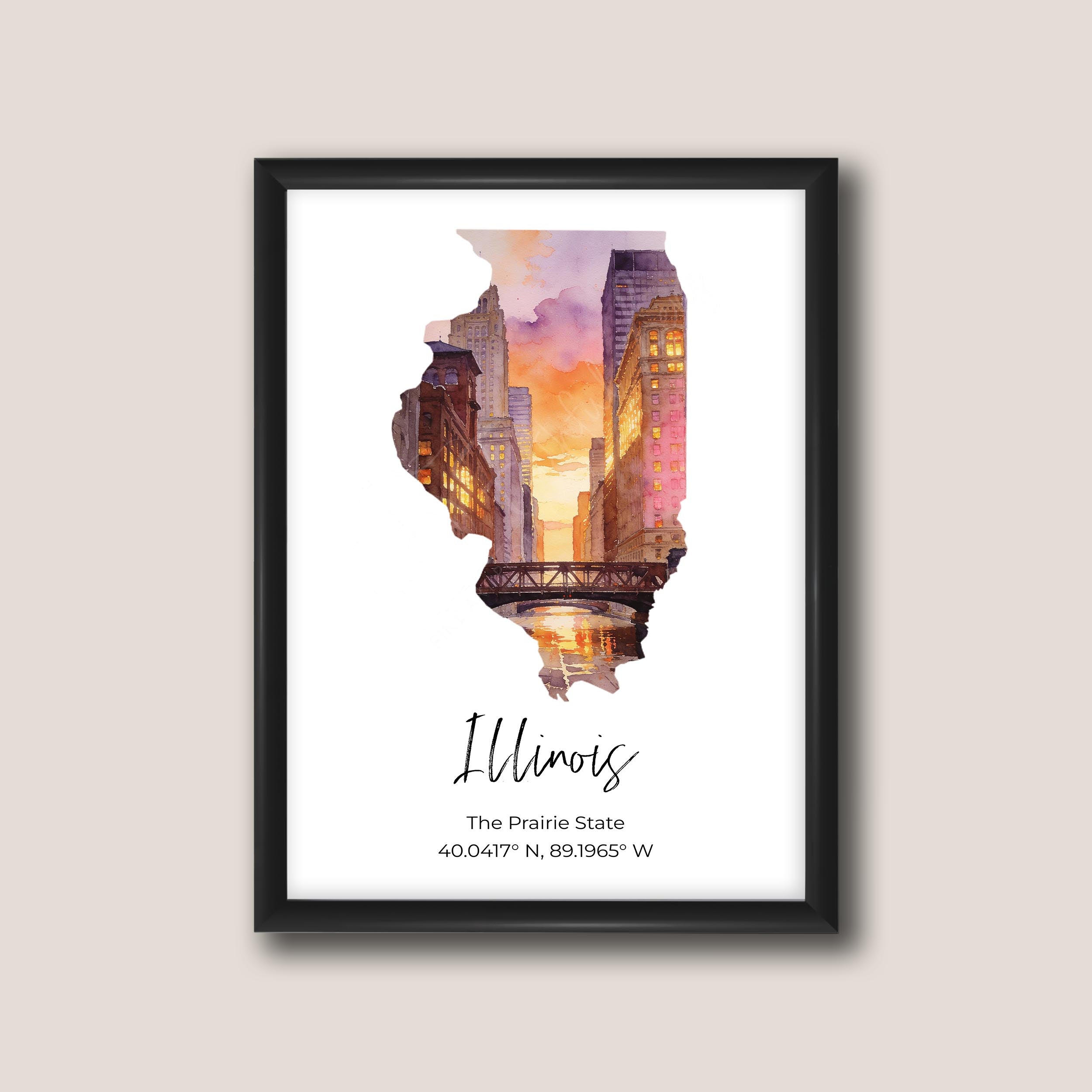 Illinois State Map