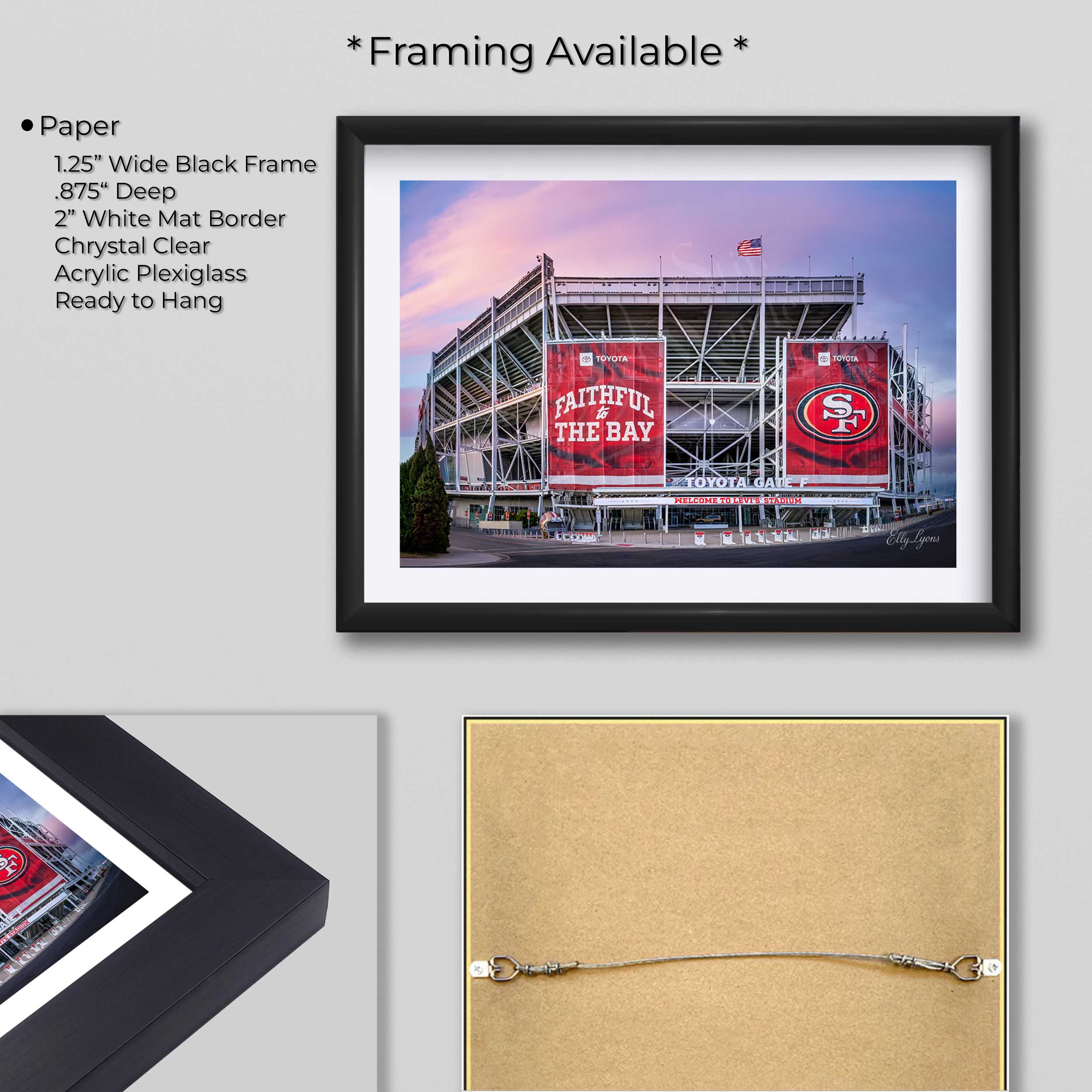 Levi's Stadium “Faithful and True”