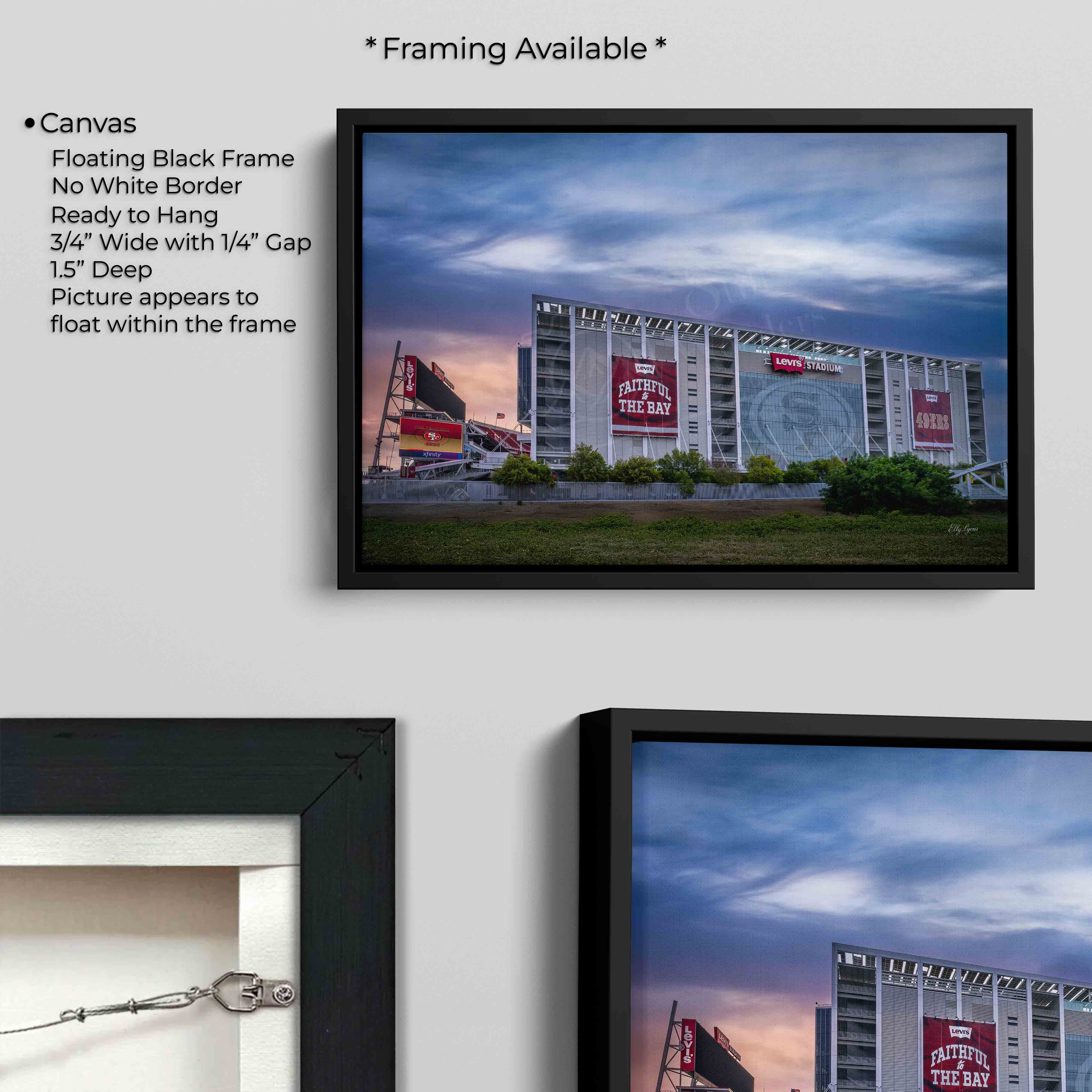 Levi’s Stadium "Faithful Horizon"