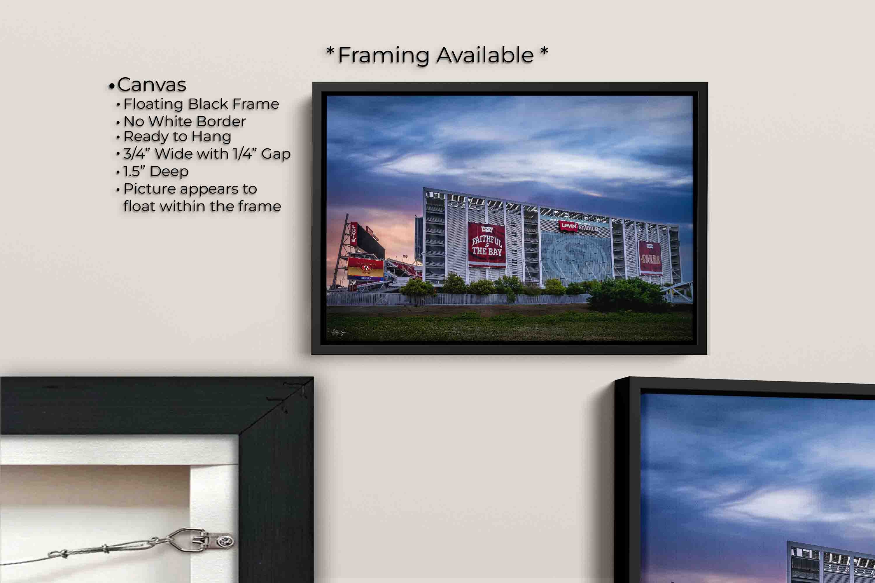 Levi’s Stadium sunrise fine art print canvas wall art in black float frame, canvas framing option details