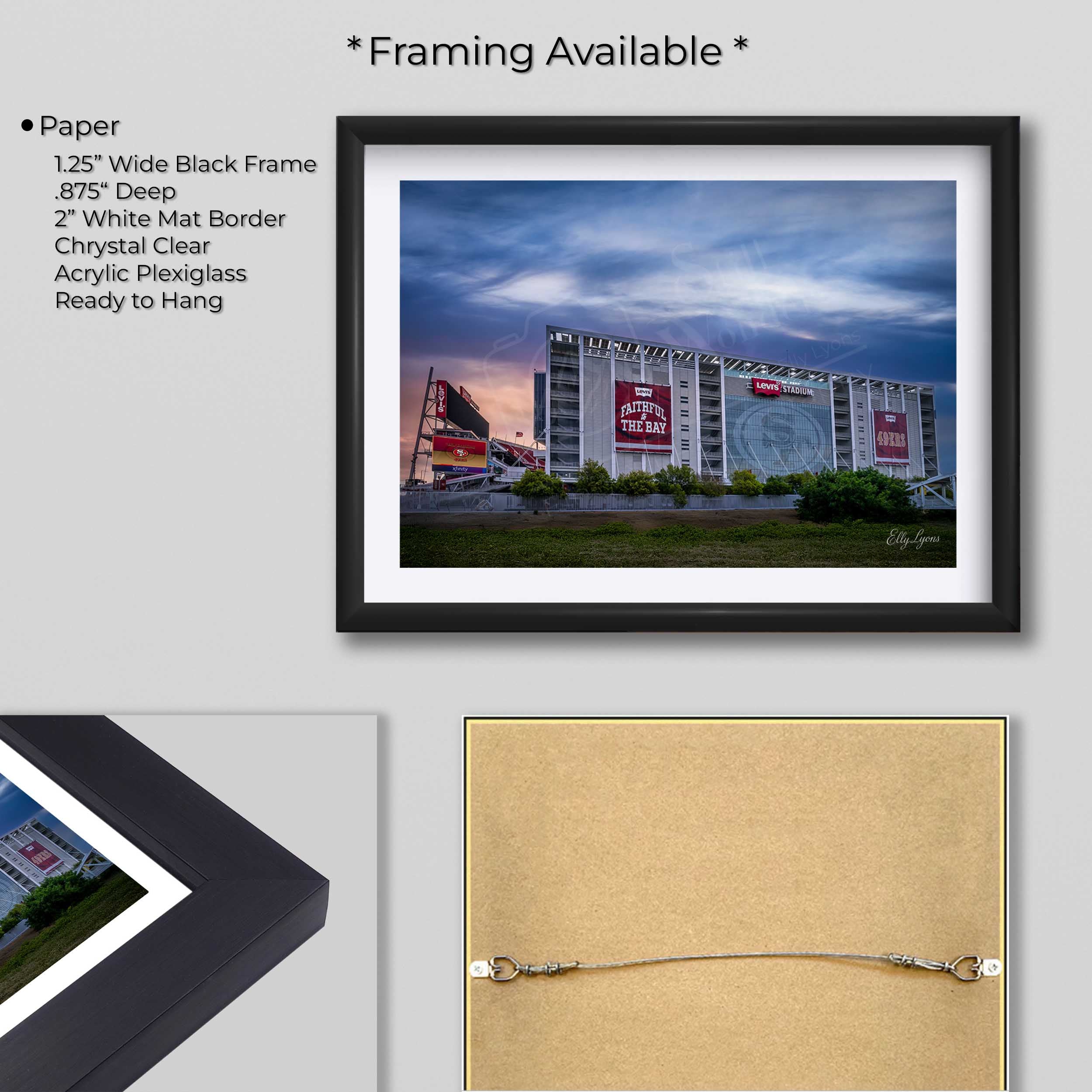 Levi’s Stadium "Faithful Horizon"