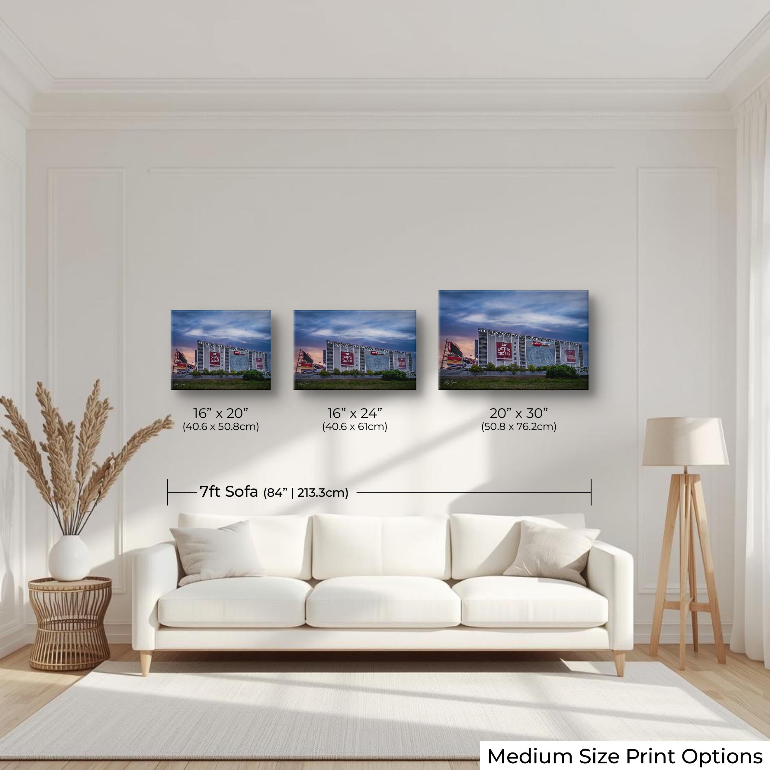 Levi’s Stadium "Faithful Horizon"