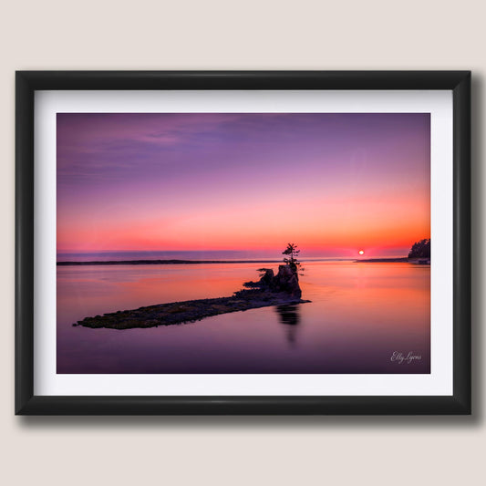 Pacific Northwest Sunset “Unshaken”