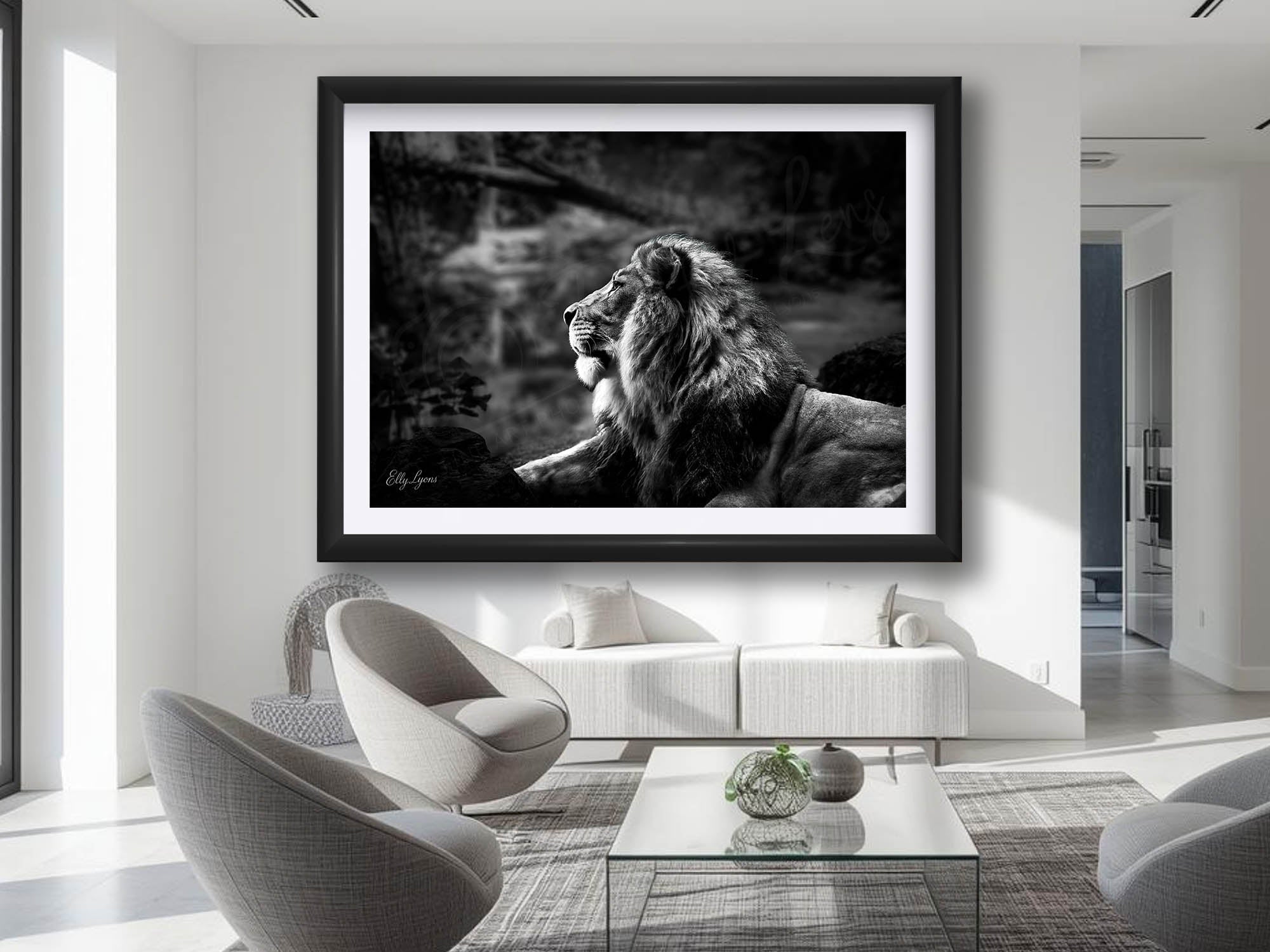 Lion Black & White “Born to Lead”