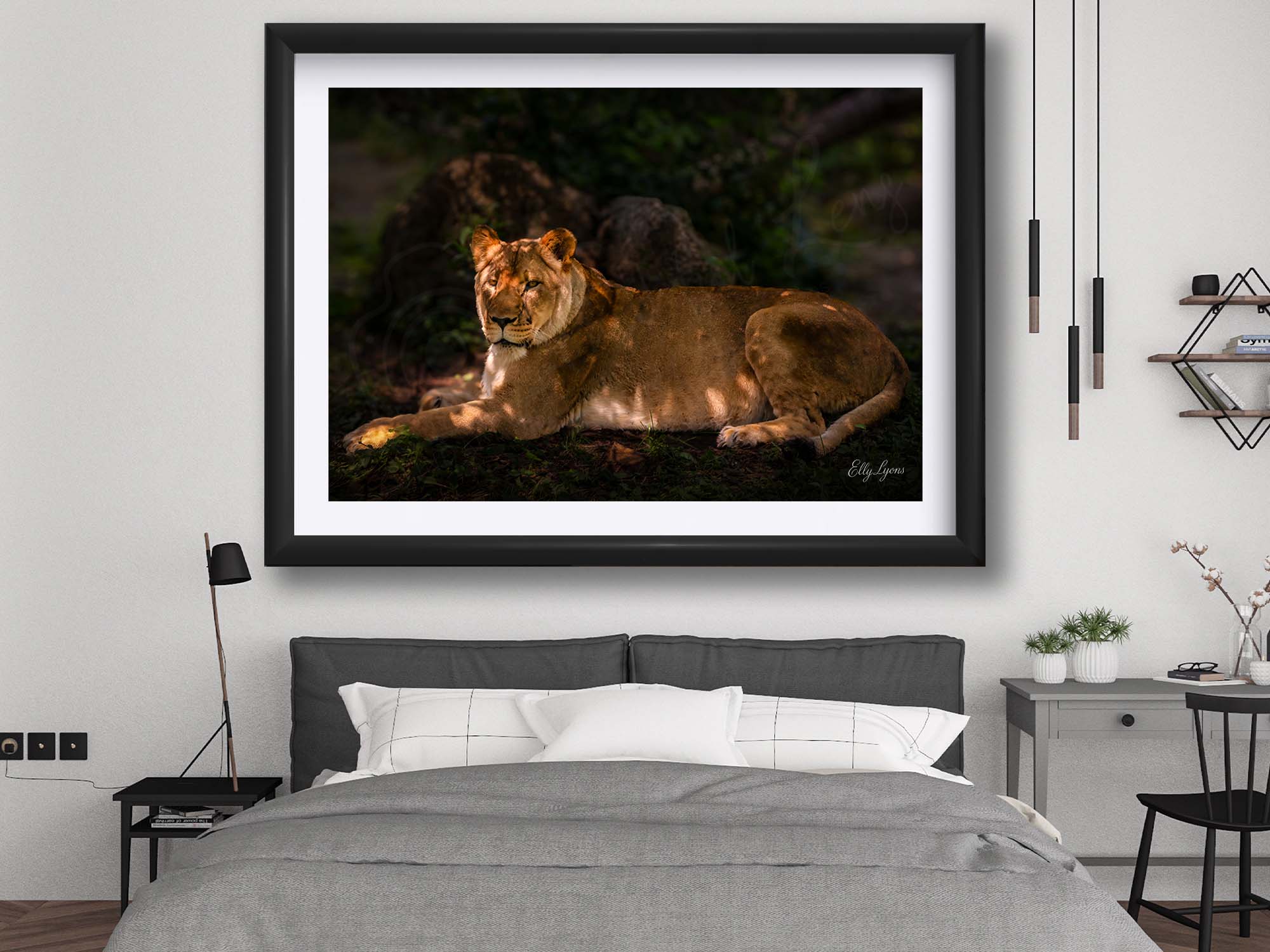 African Lioness “Still Strength”