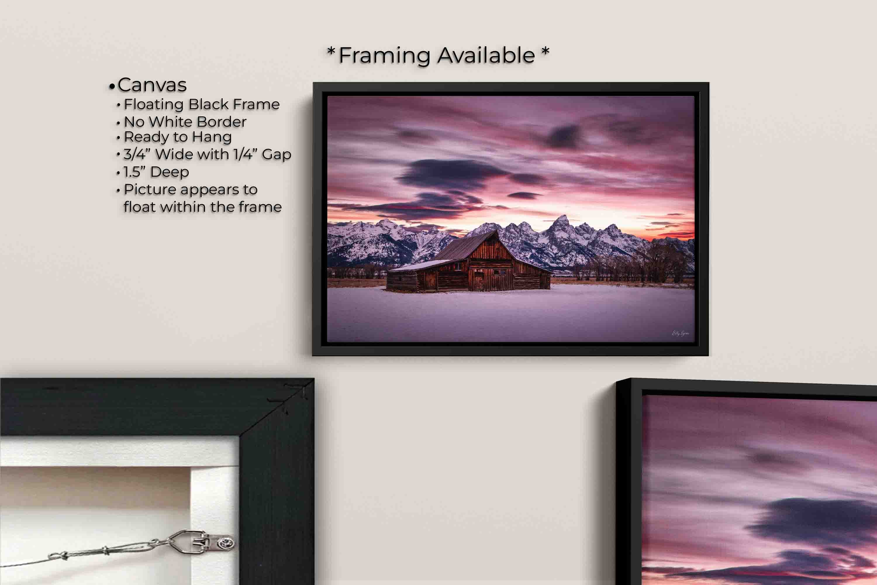 Grand Teton National Park Moulton barn sunrise fine art print canvas wall art in black float frame, canvas framing option details