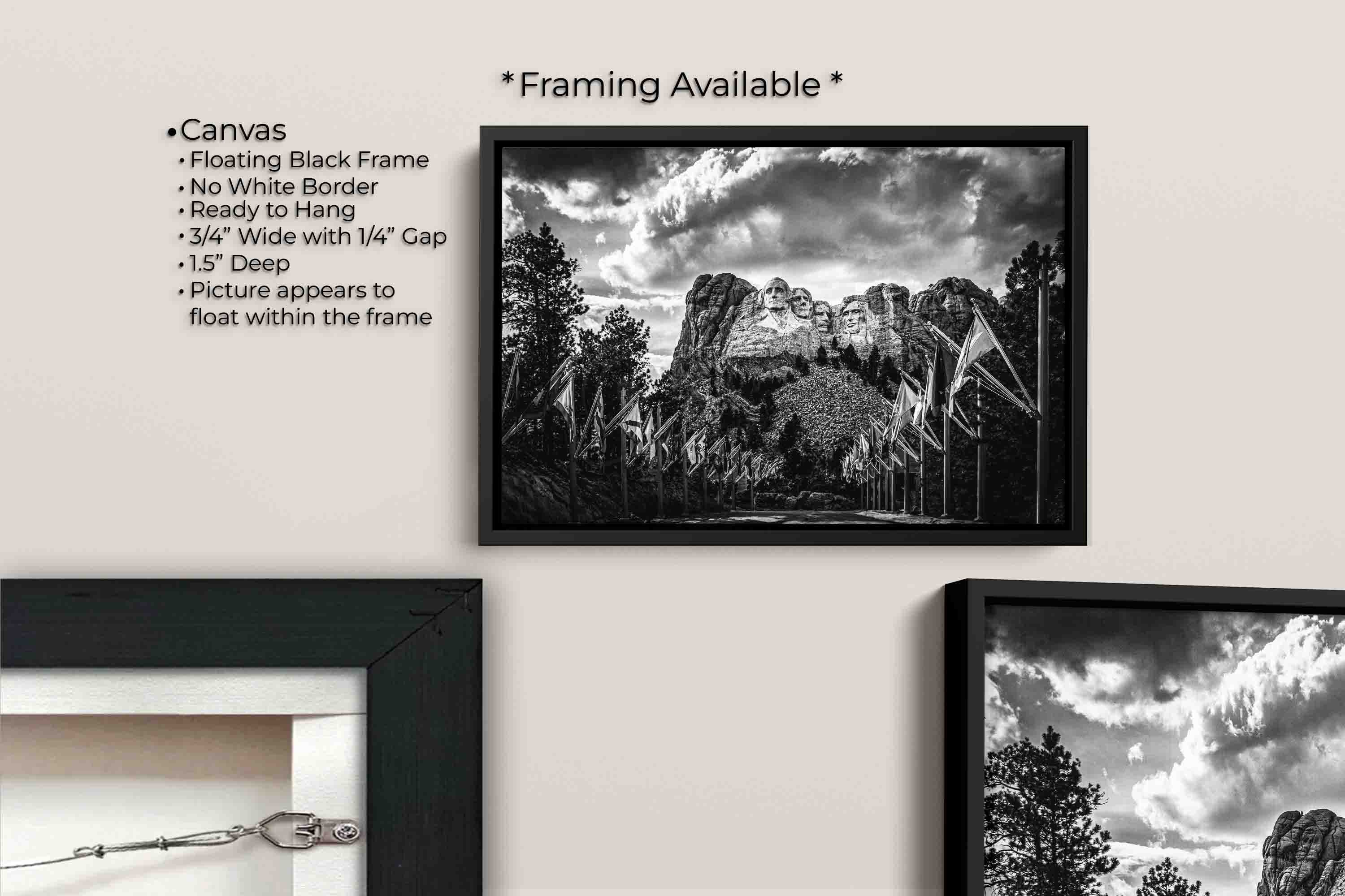 Mount Rushmore black and white fine art print canvas wall art in black float frame, canvas framing option details
