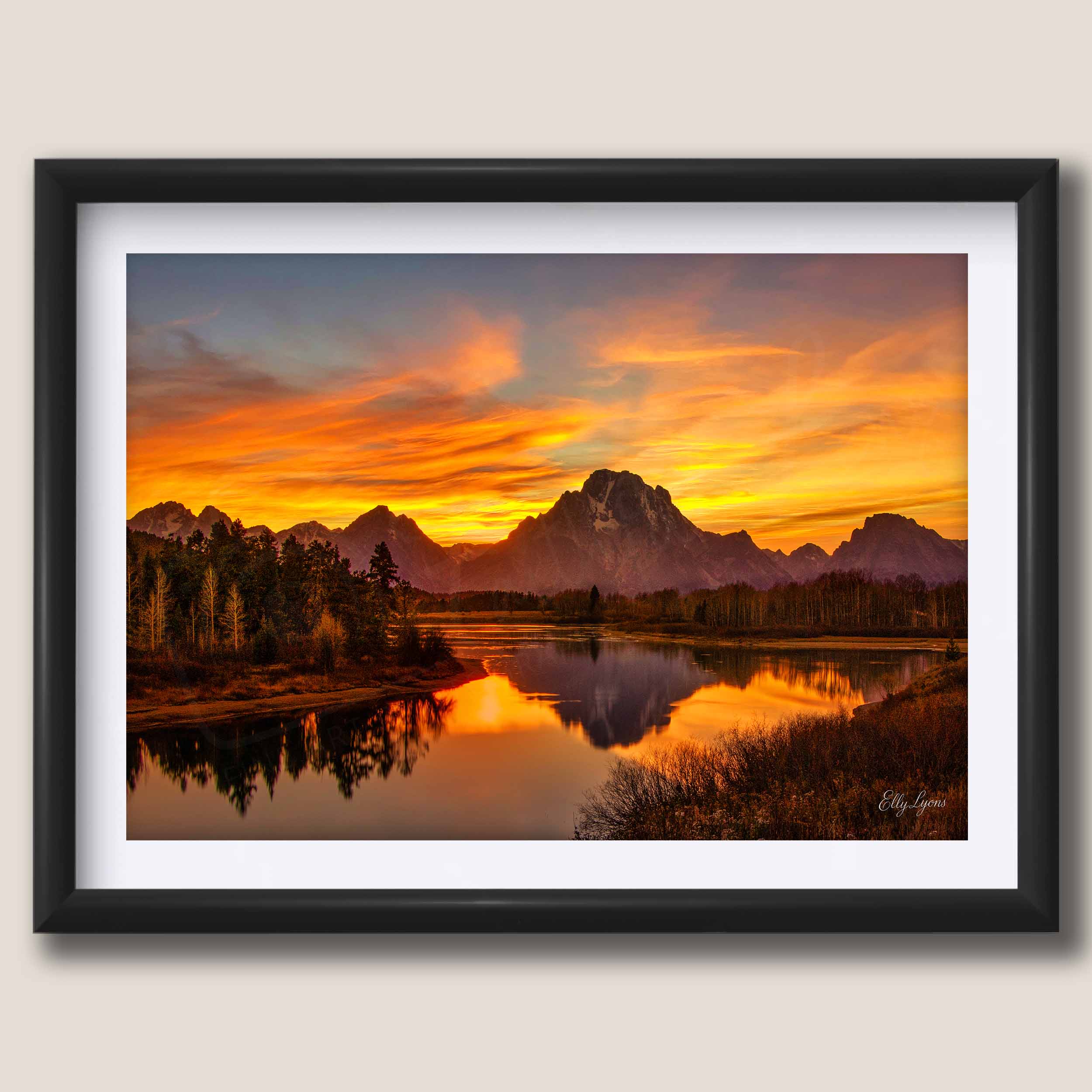 Oxbow Bend “Reflect and Rise”