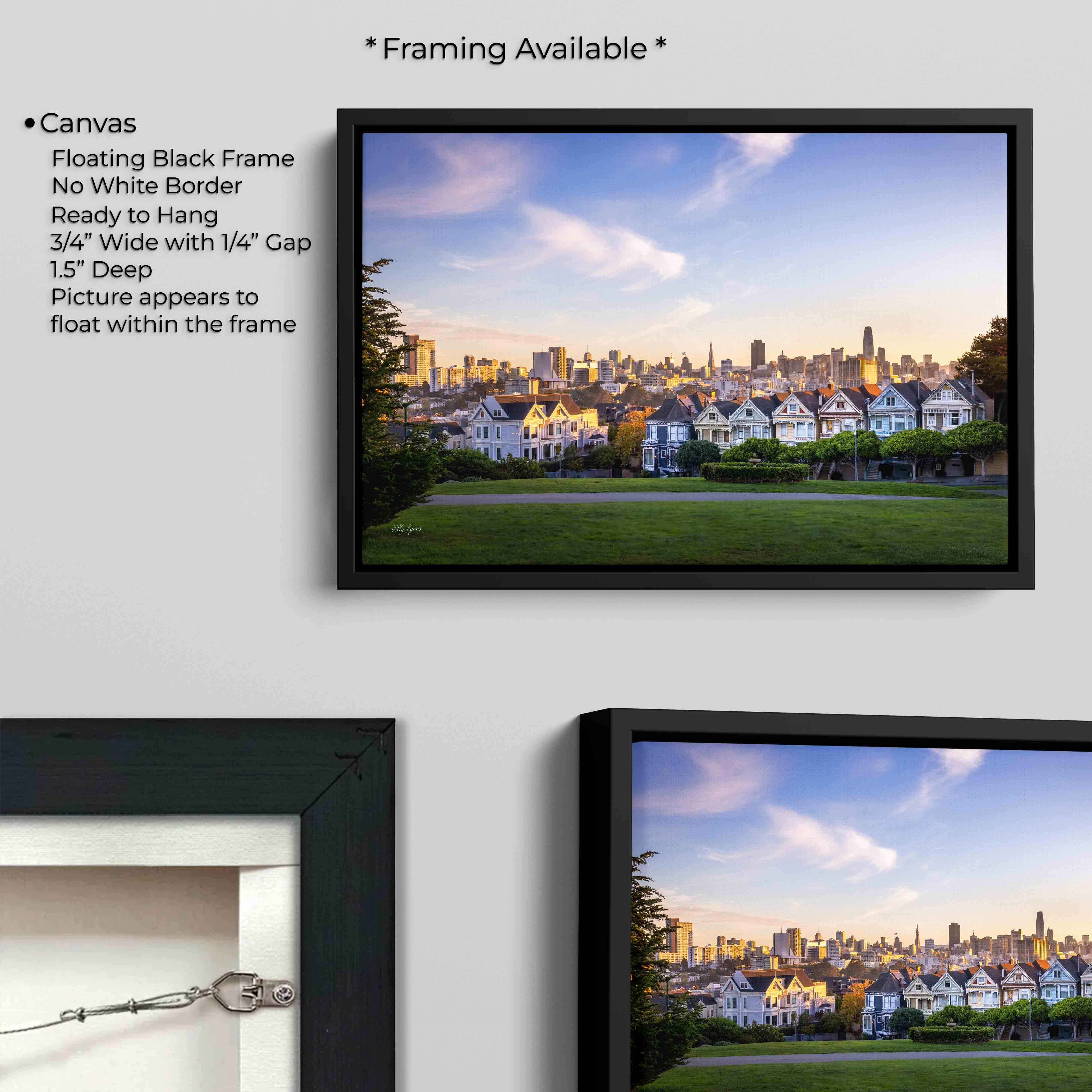 Painted Ladies: San Francisco “Where You Belong”
