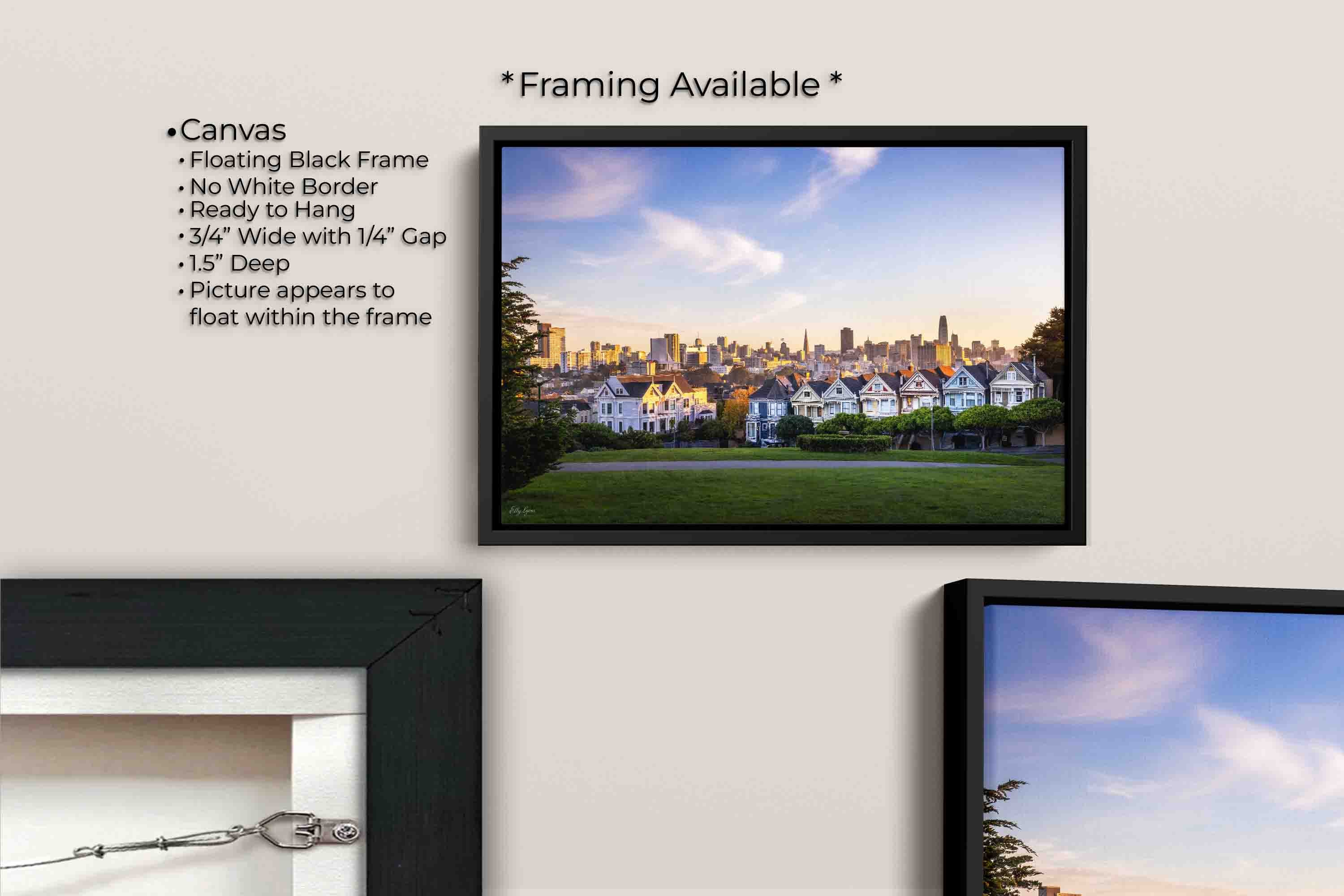 Painted Ladies: San Francisco “Where You Belong”