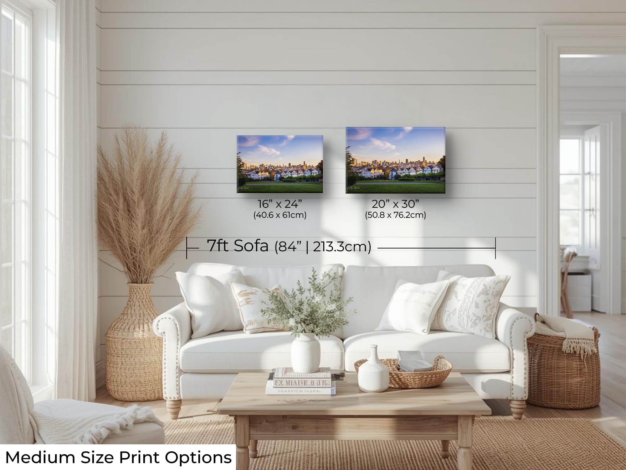 Painted Ladies: San Francisco “Where You Belong”