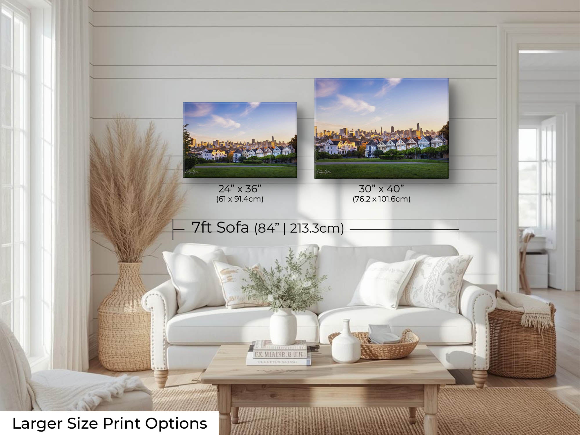 Painted Ladies: San Francisco “Where You Belong”