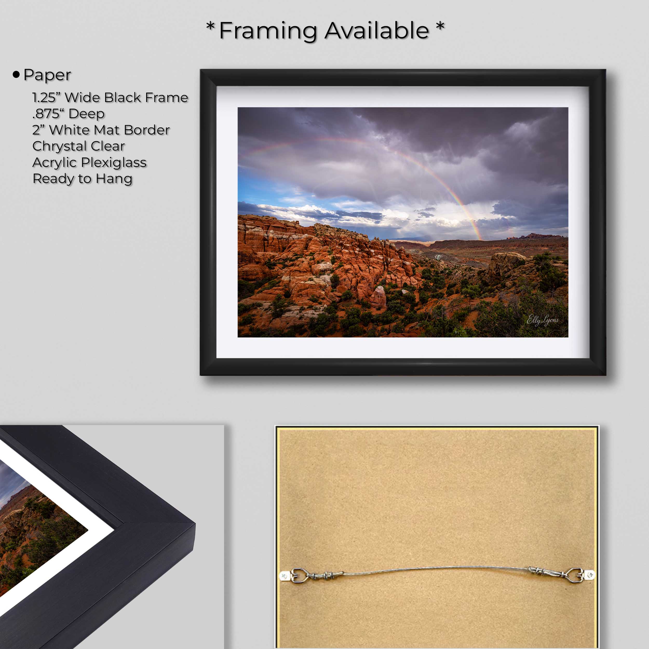 Arches National Park “Rainbow Majesty In The Desert"