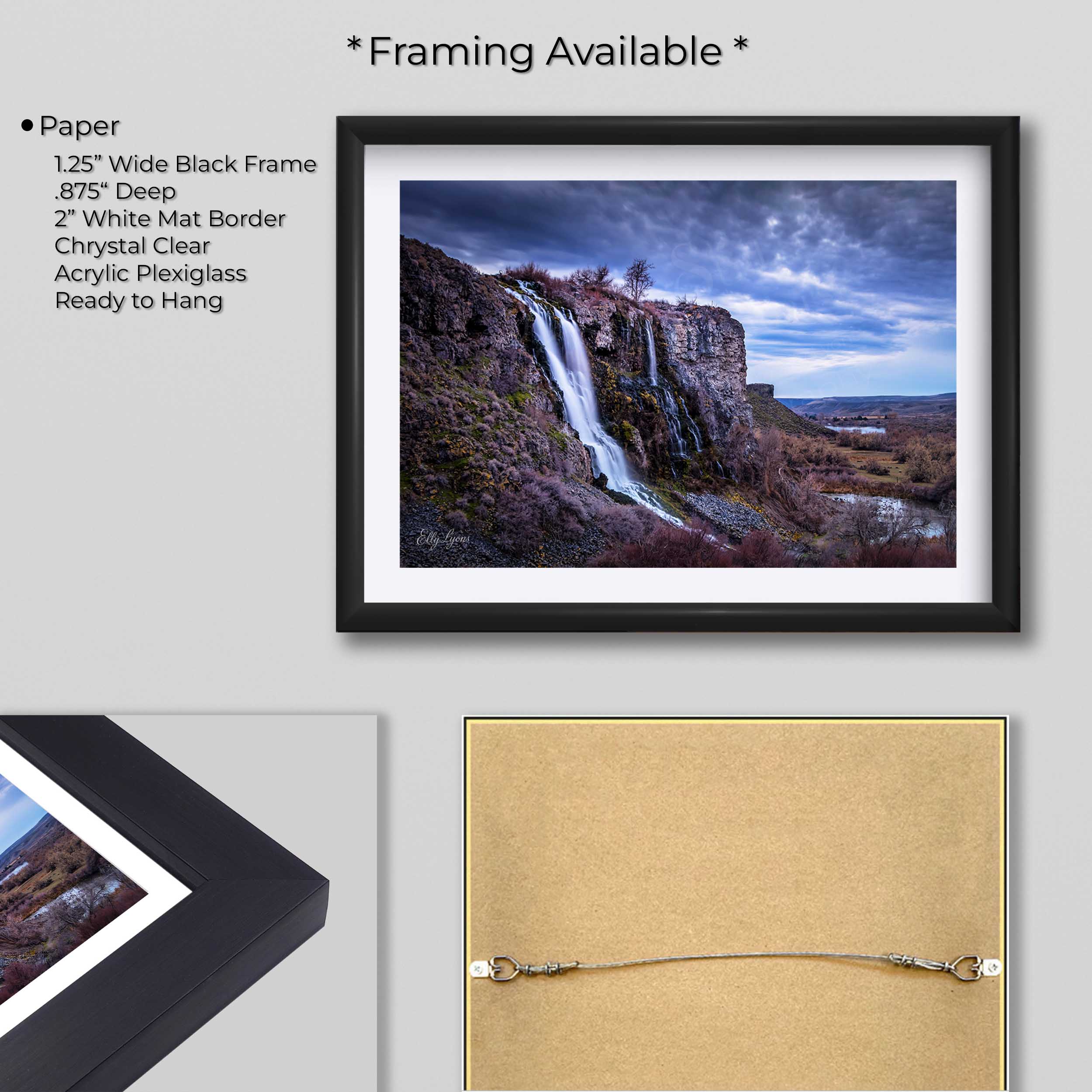 Lemon Falls “Steadfast Waters"