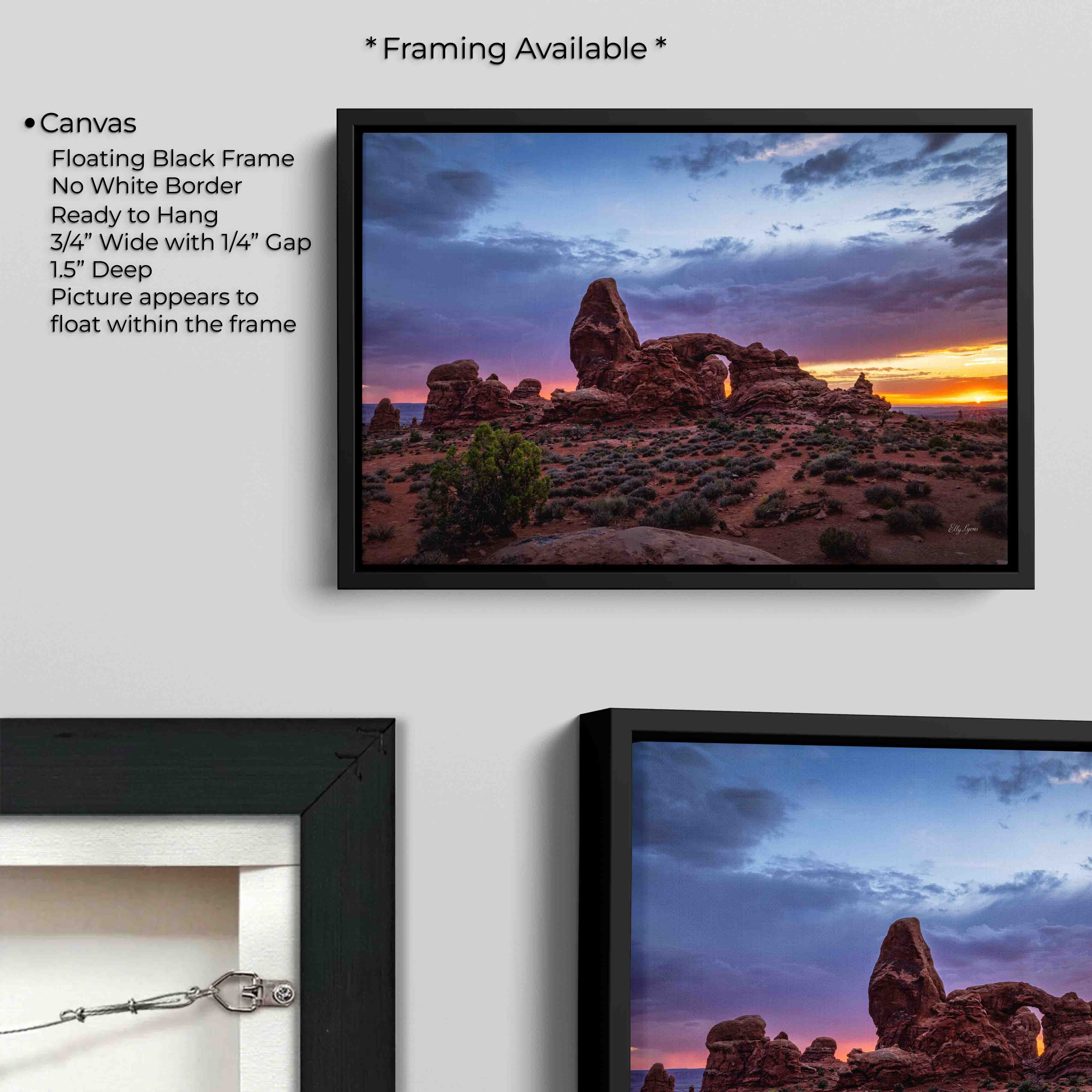 Arches National Park “Red Rock Radiance"