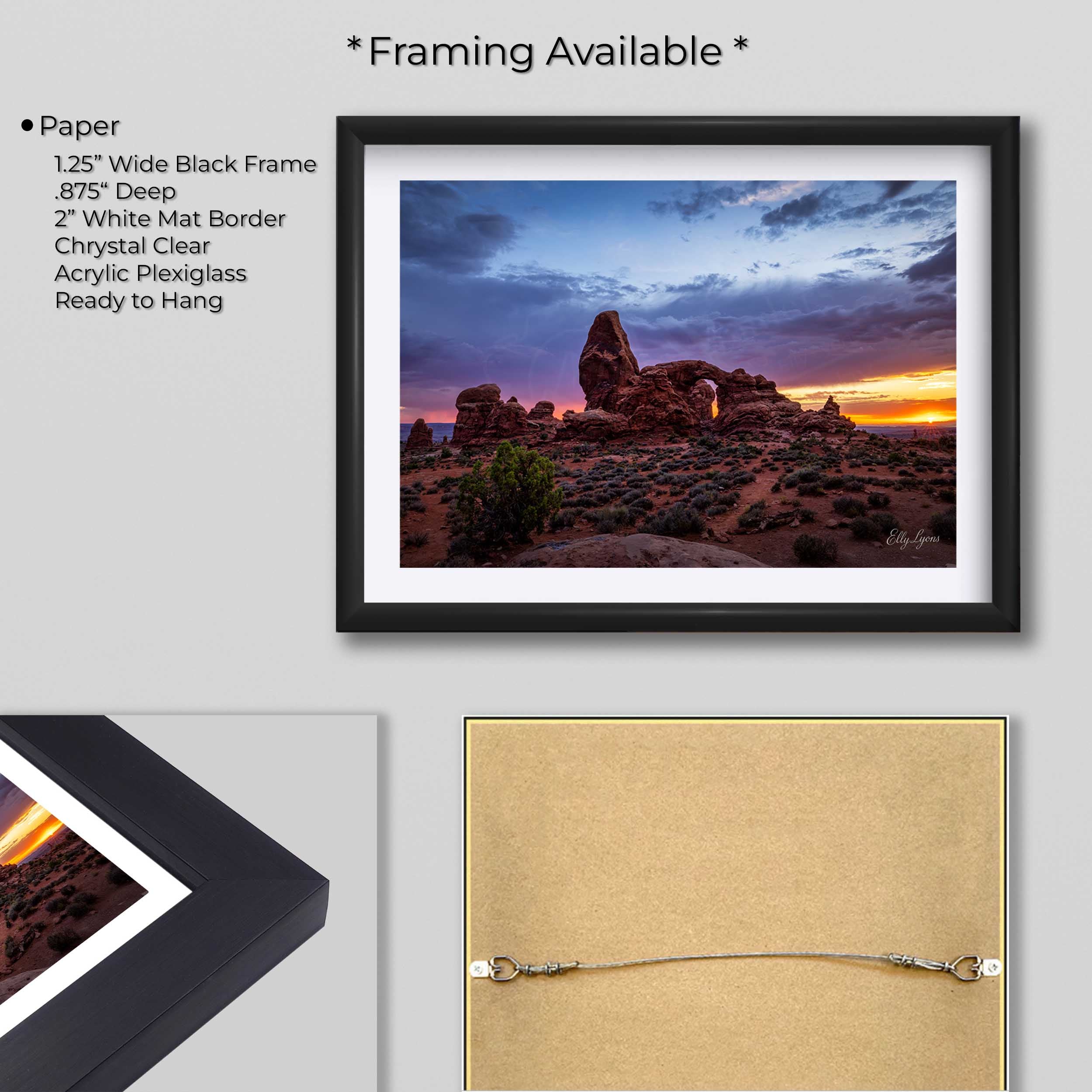 Arches National Park “Red Rock Radiance"