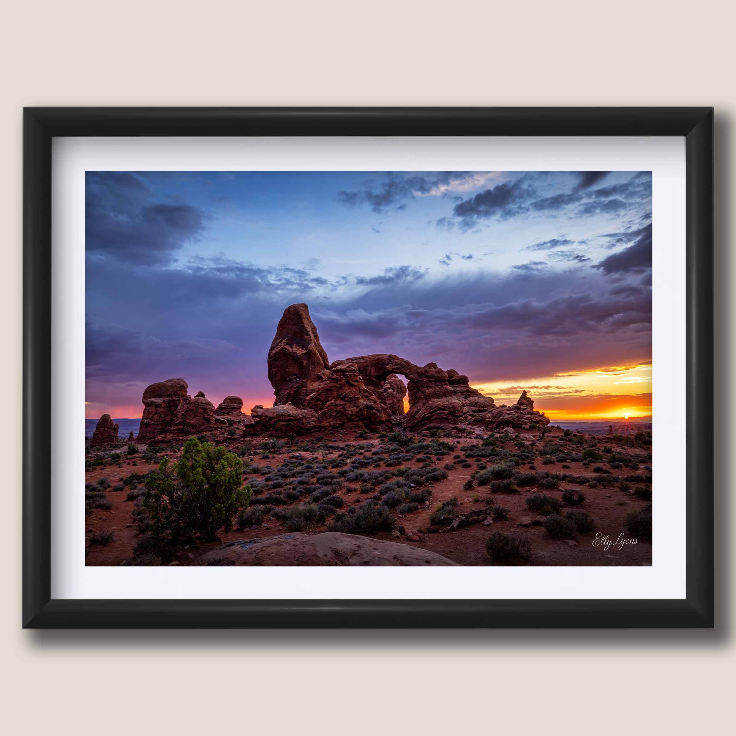 Arches National Park “Red Rock Radiance"