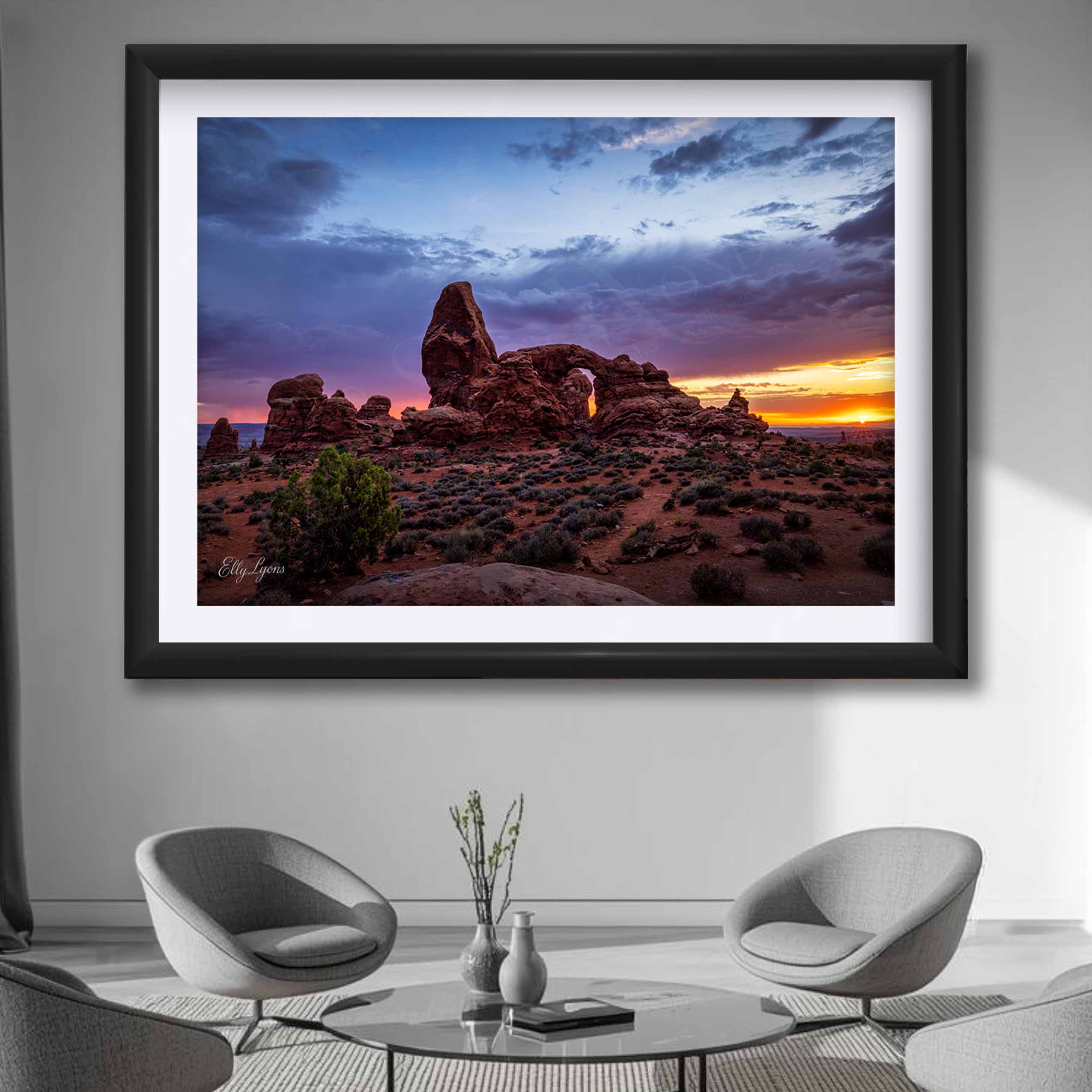 Arches National Park “Red Rock Radiance"