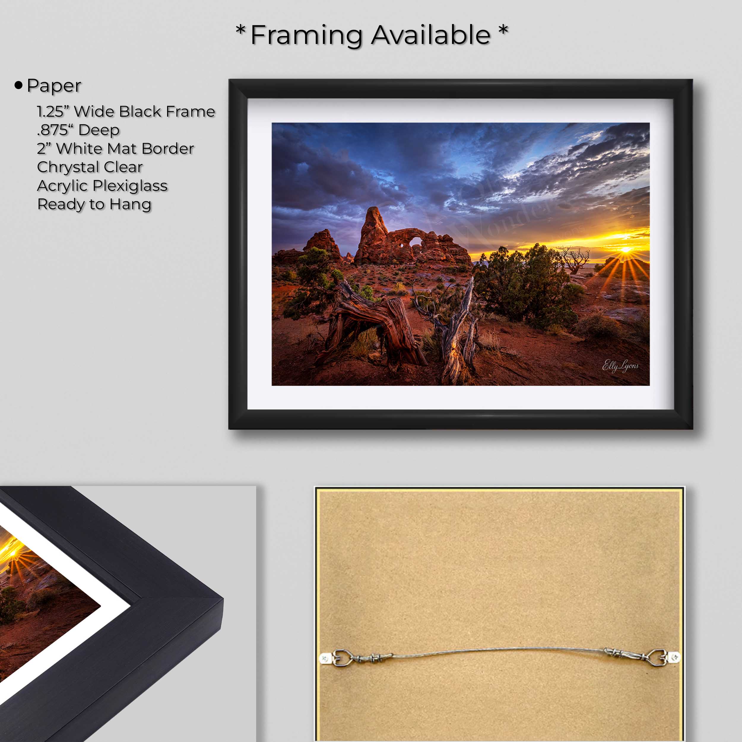 Arches National Park "Fire & Stone”