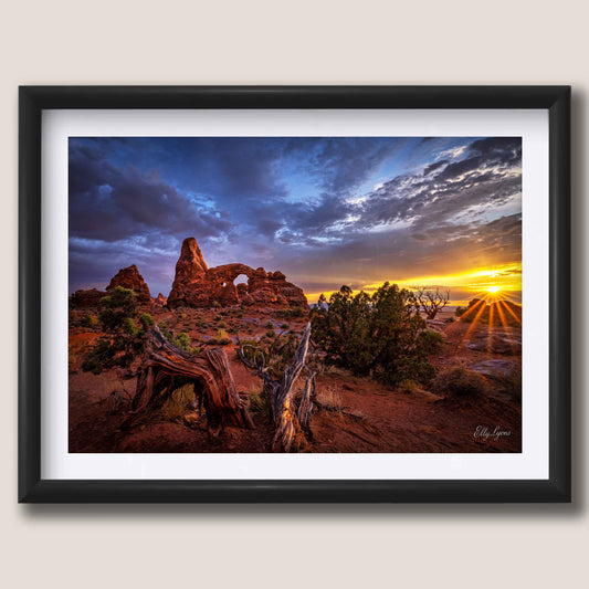 Arches National Park "Fire & Stone”