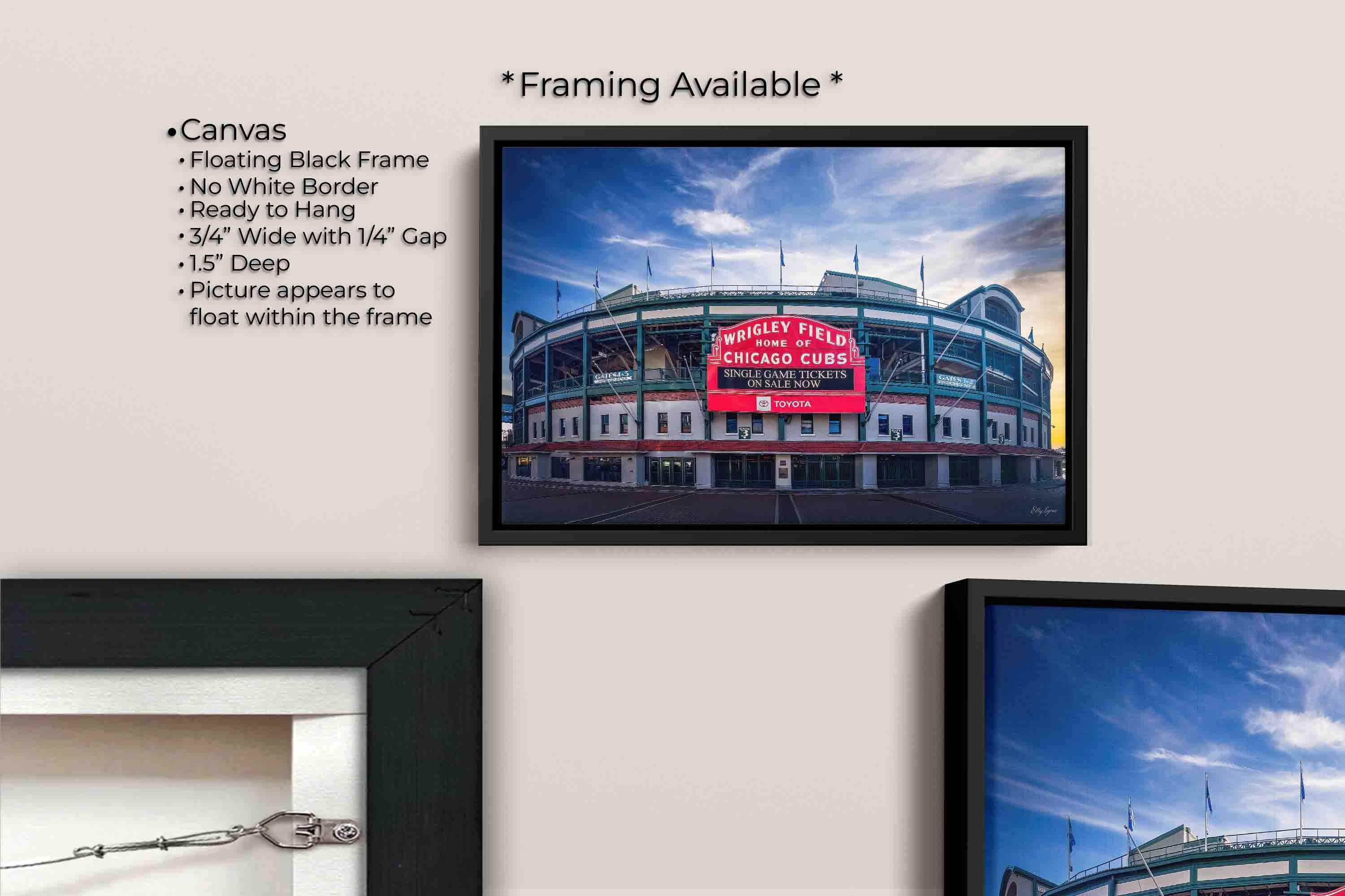 Wrigley Field “A Century of Dreams”